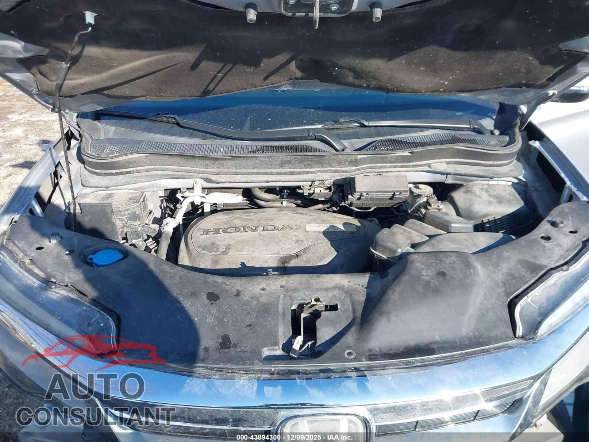 HONDA PILOT 2019 - 5FNYF6H98KB037440