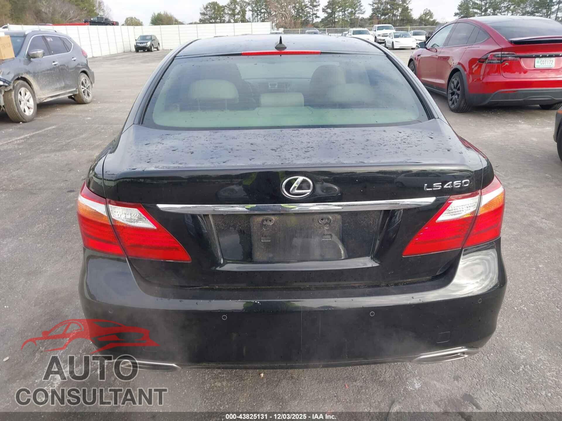 LEXUS LS 460 2011 - JTHBL5EF5B5105096