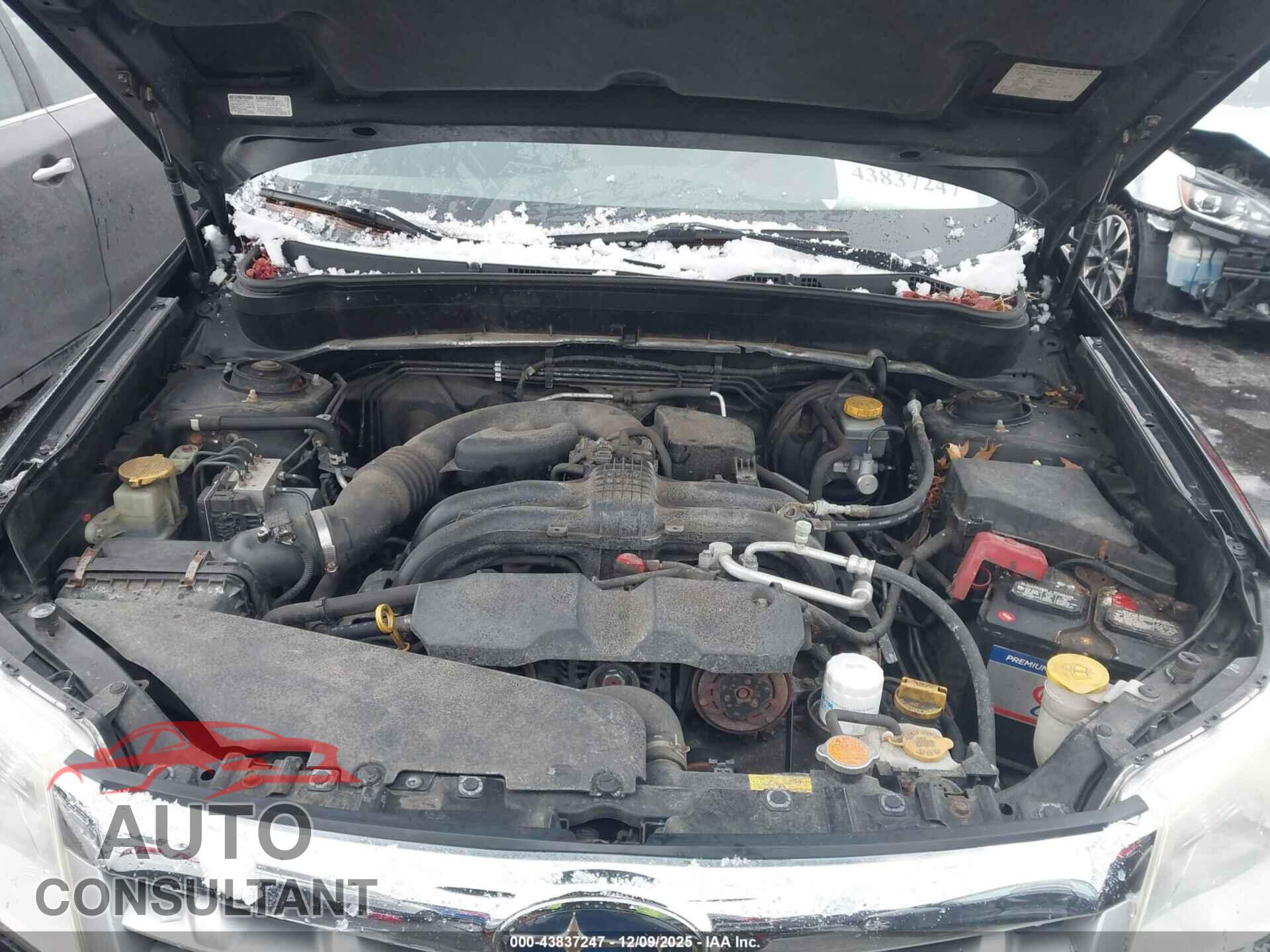 SUBARU FORESTER 2013 - JF2SHADC5DH439540
