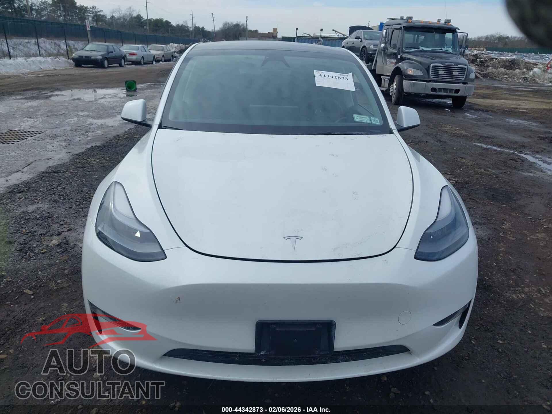 TESLA MODEL Y 2024 - 7SAYGAEE1RF201190