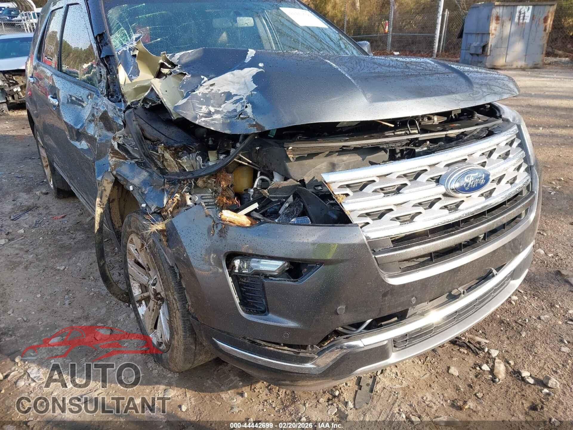 FORD EXPLORER 2019 - 1FM5K7FH0KGA75342