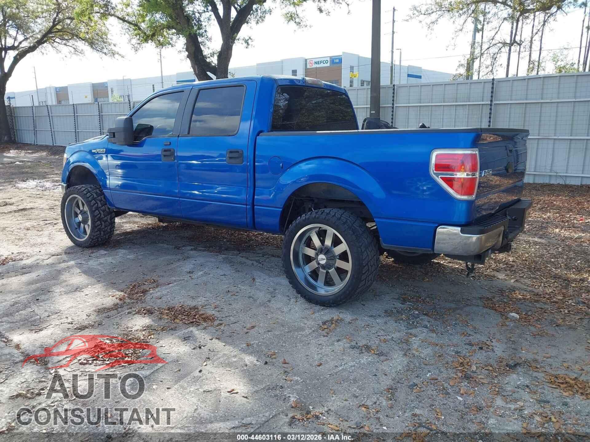 FORD F-150 2011 - 1FTEW1CM8BFB25613