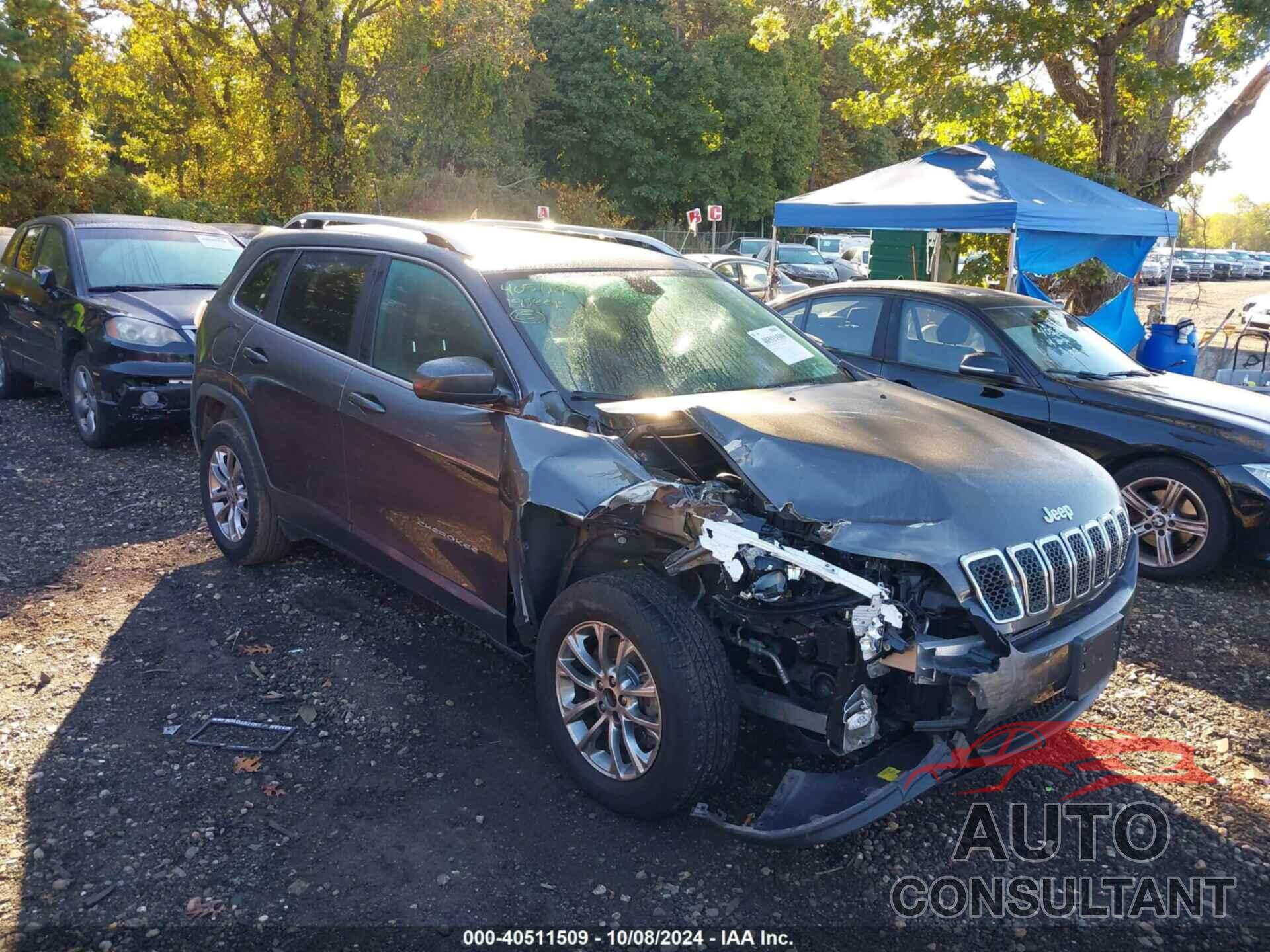 JEEP CHEROKEE 2019 - 1C4PJMLB1KD177734