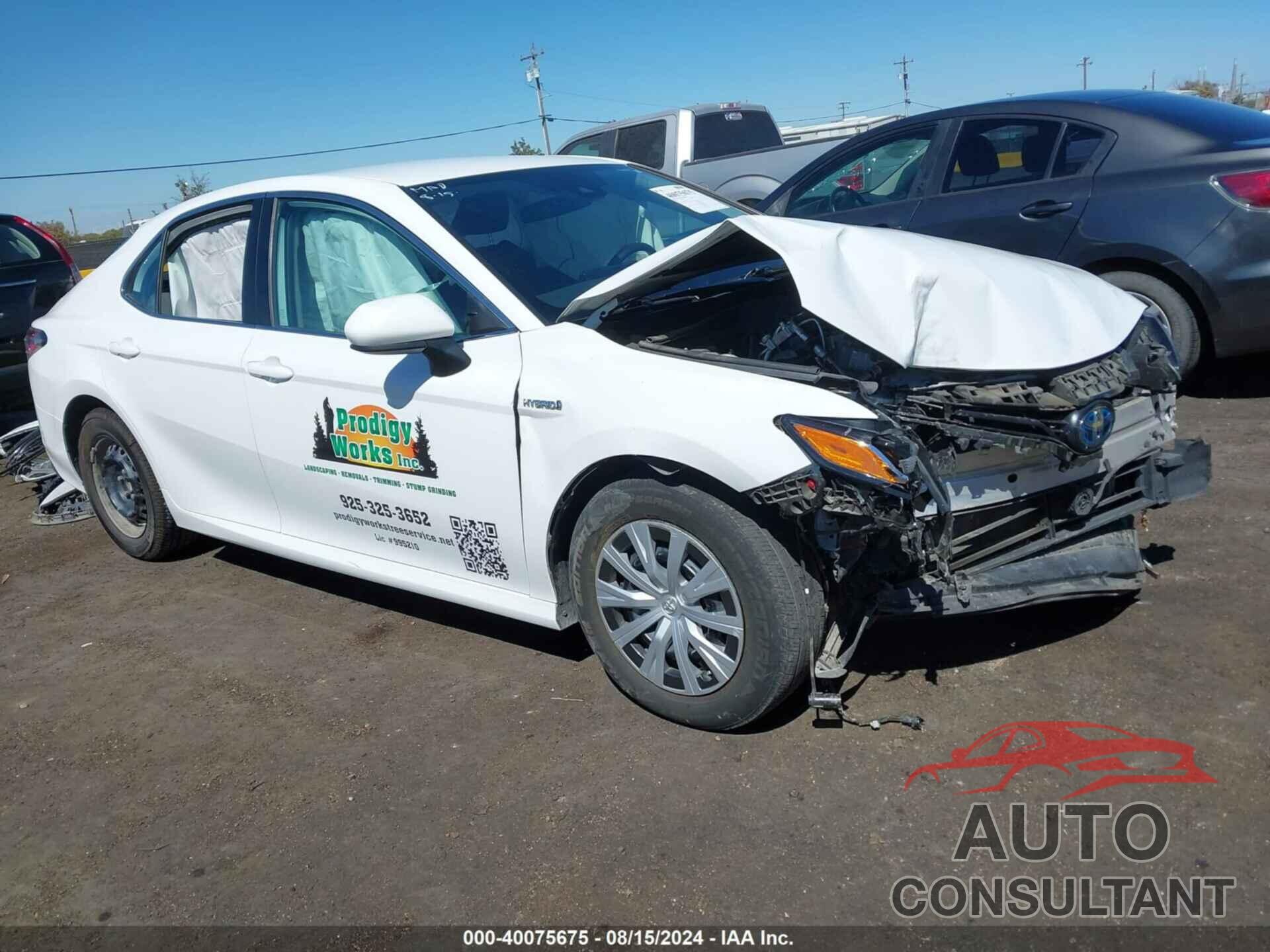 TOYOTA CAMRY 2021 - 4T1C31AK3MU026841