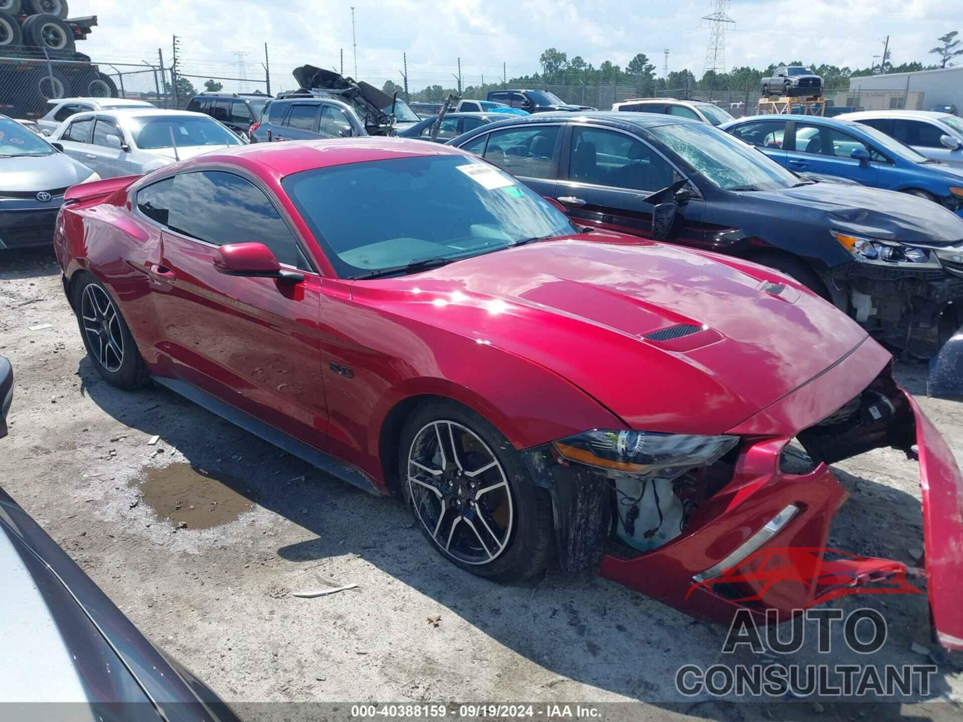 FORD MUSTANG 2019 - 1FA6P8CF1K5201051