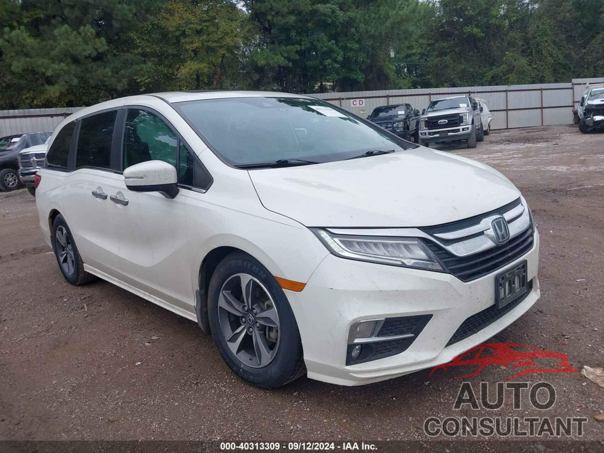 HONDA ODYSSEY 2019 - 5FNRL6H80KB002718