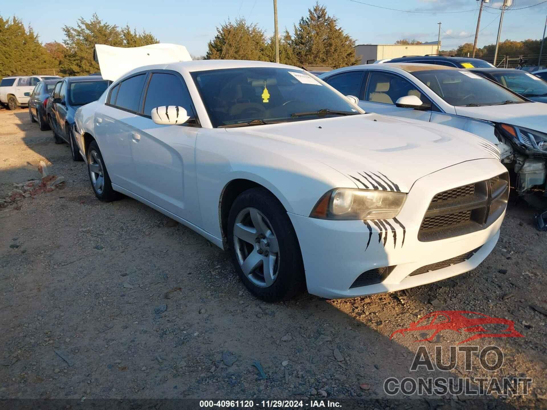 DODGE CHARGER 2013 - 2C3CDXAT2DH716133