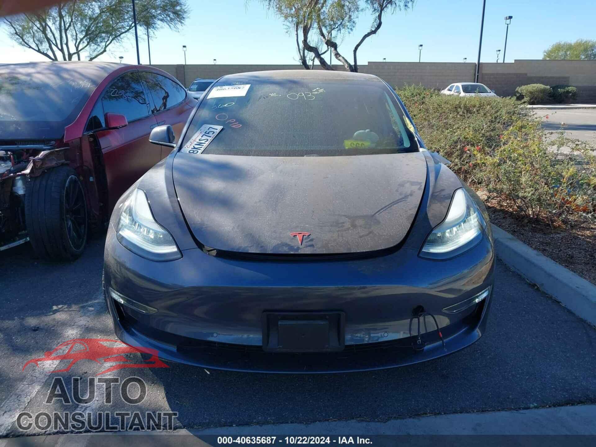 TESLA MODEL 3 2019 - 5YJ3E1EA6KF402003