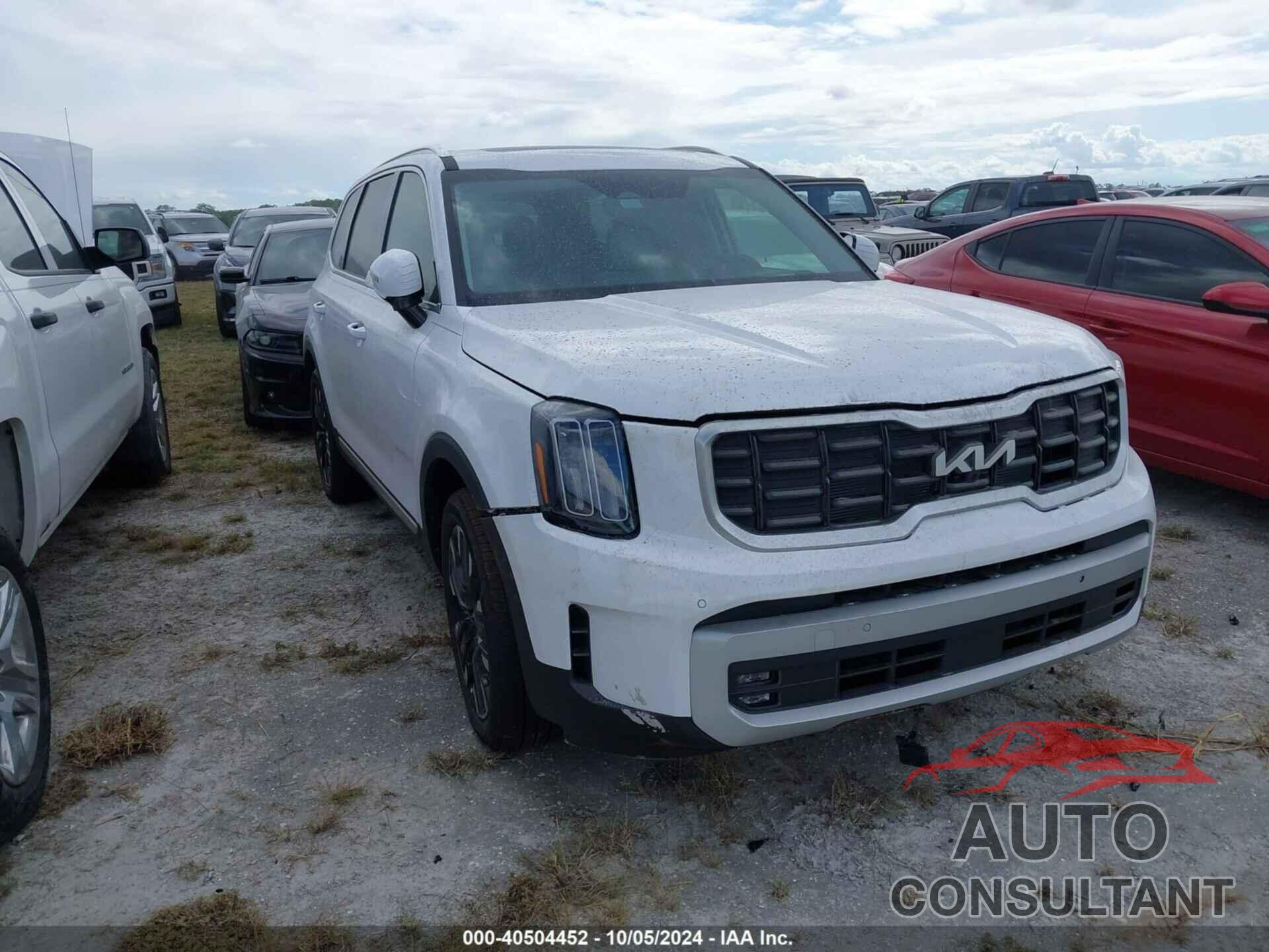 KIA TELLURIDE 2024 - 5XYP5DGC8RG513012