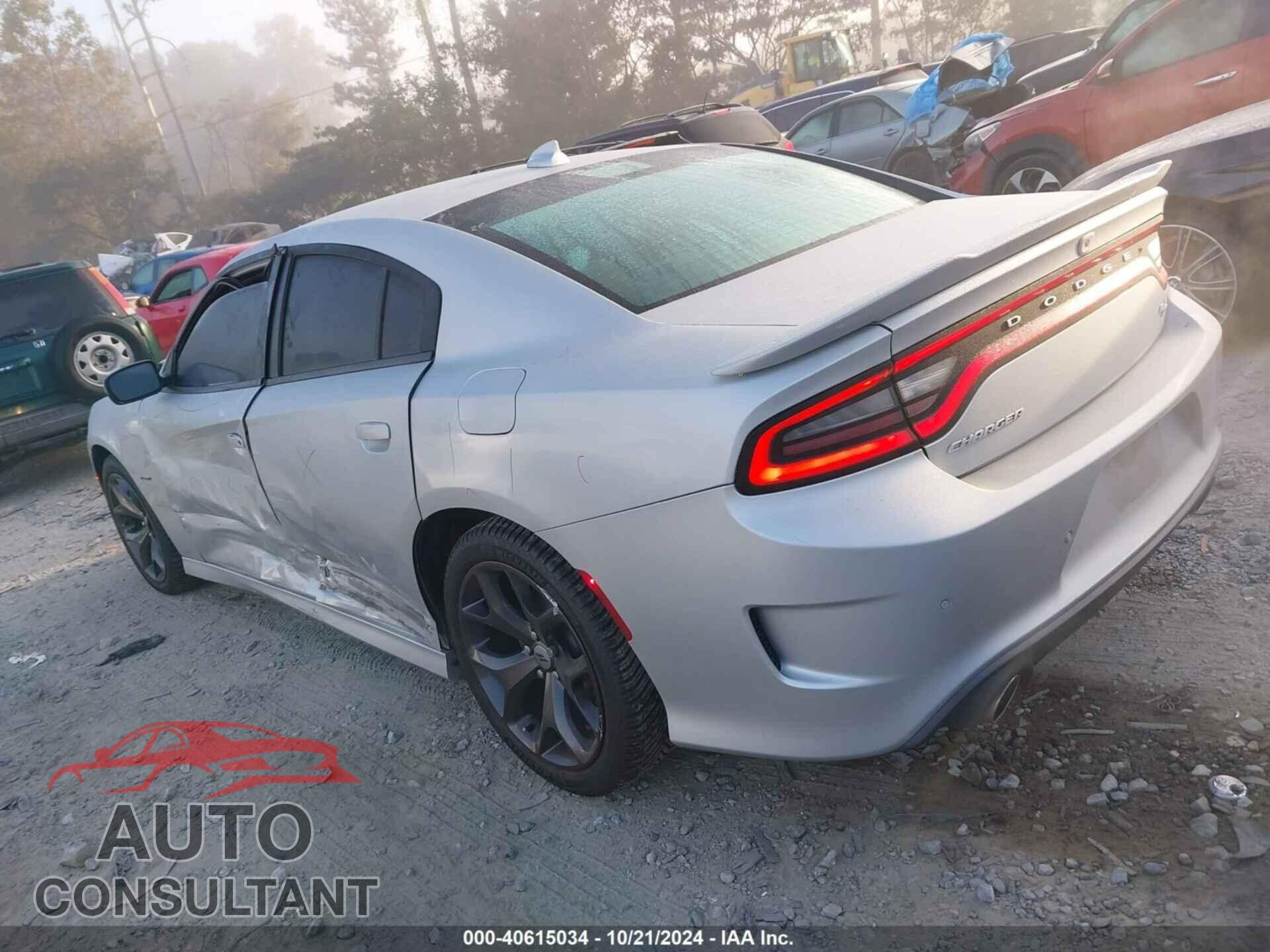 DODGE CHARGER 2019 - 2C3CDXCTXKH621829