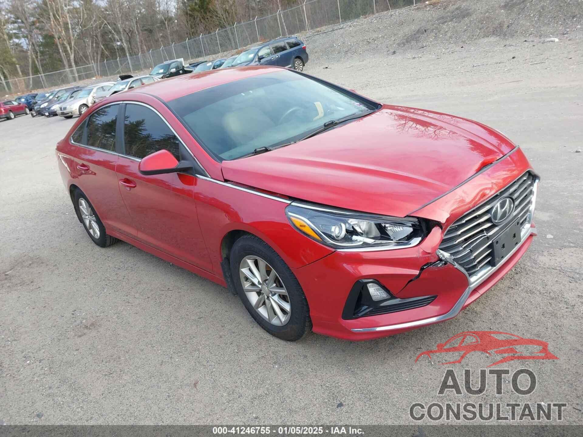 HYUNDAI SONATA 2019 - 5NPE24AF5KH804794