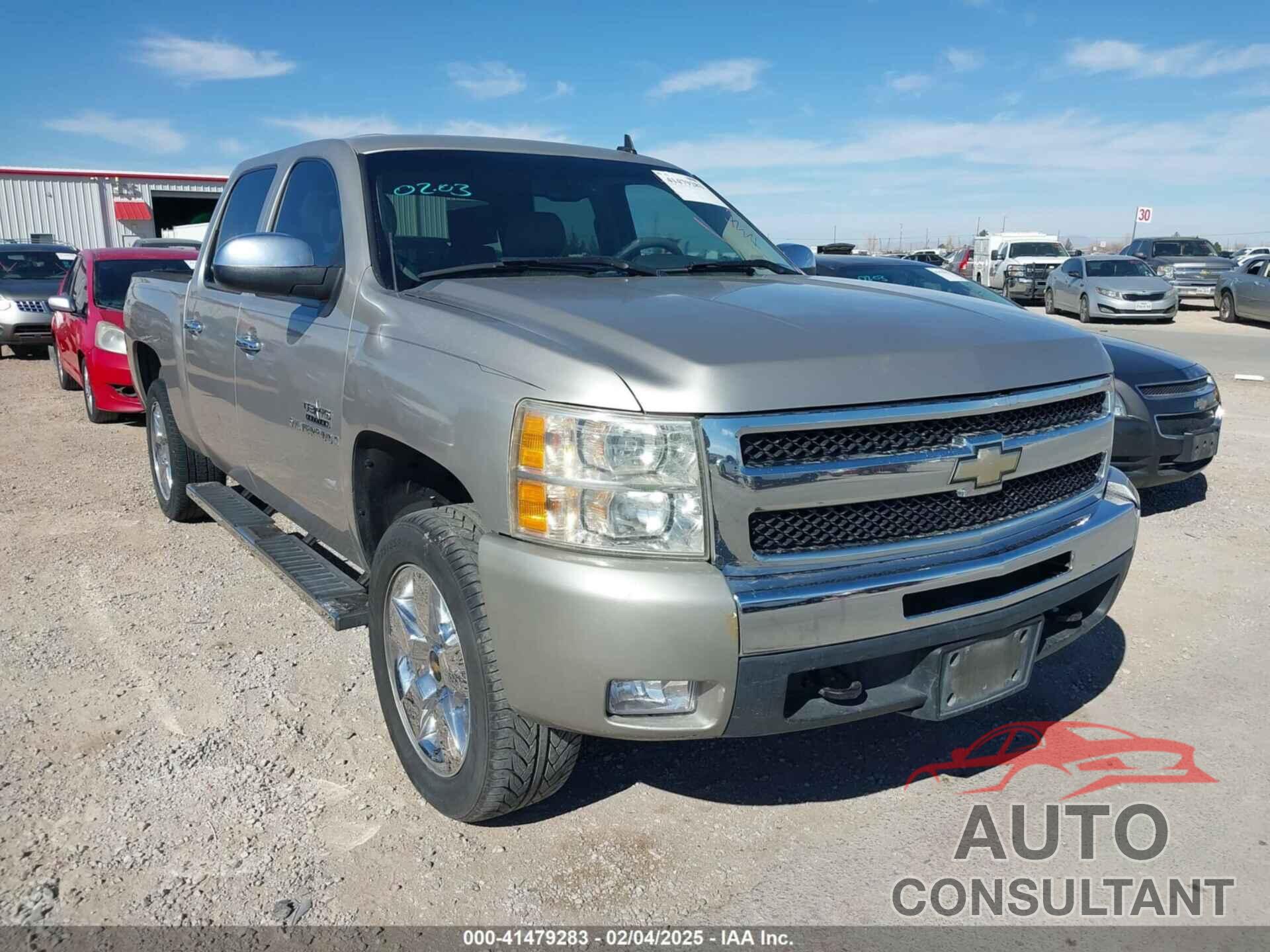 CHEVROLET SILVERADO 1500 2009 - 3GCEK23MX9G165413