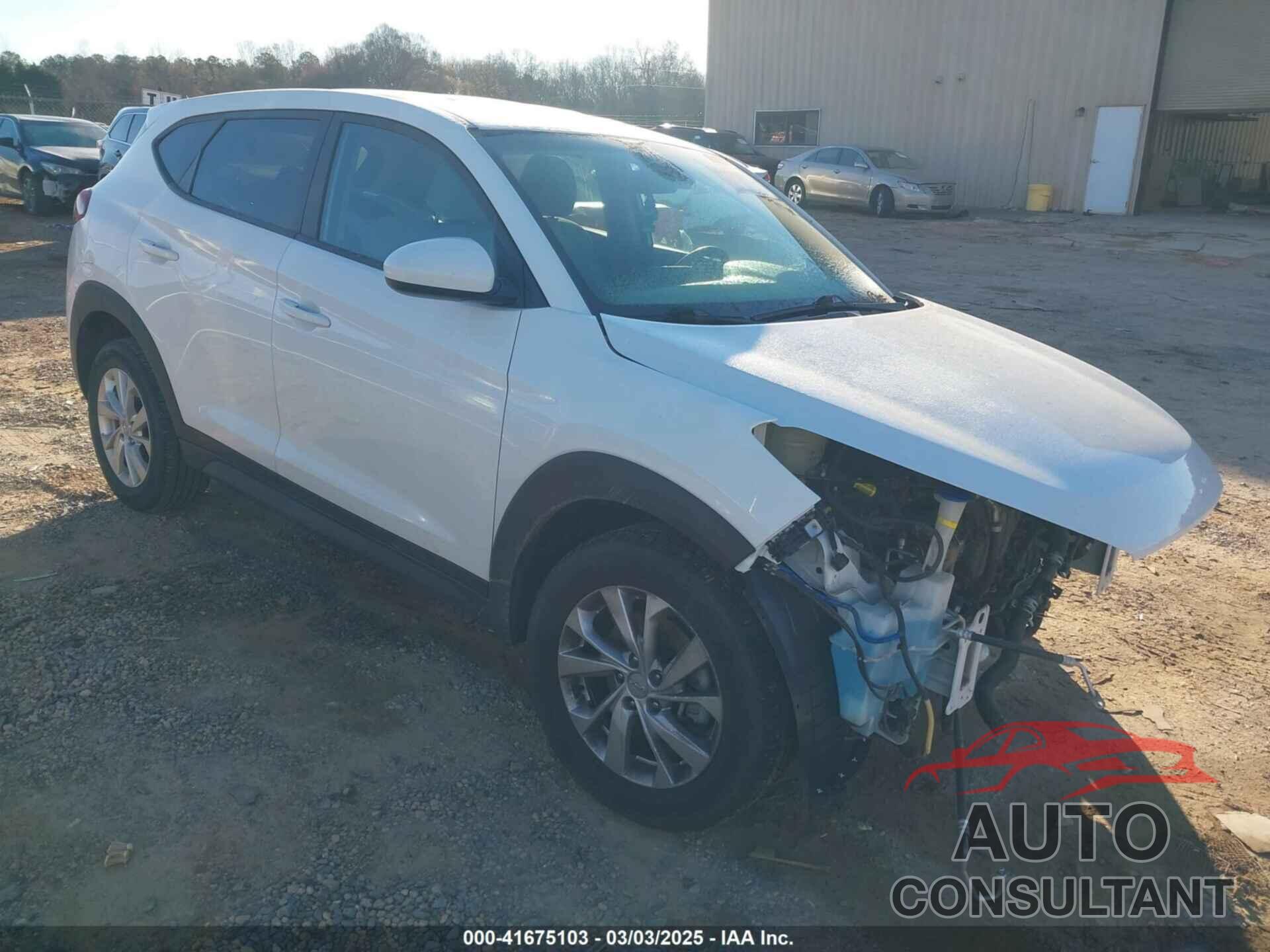 HYUNDAI TUCSON 2019 - KM8J23A48KU914750