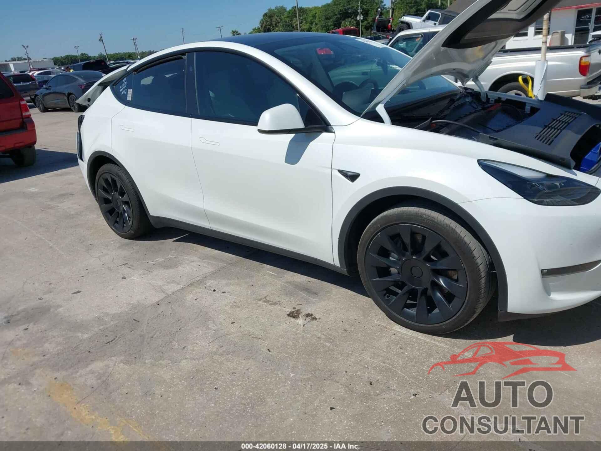 TESLA MODEL Y 2023 - 7SAYGAEEXPF800974