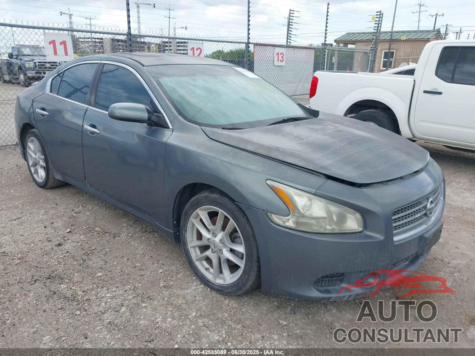 NISSAN MAXIMA 2009 - 1N4AA51E09C807578