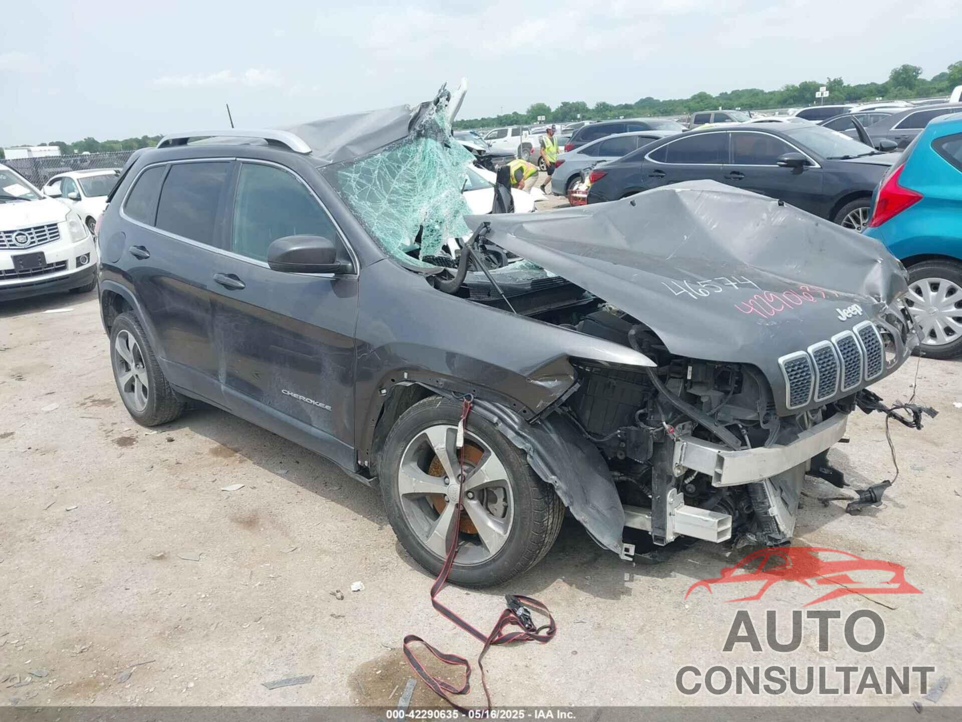 JEEP CHEROKEE 2019 - 1C4PJLDB0KD487950