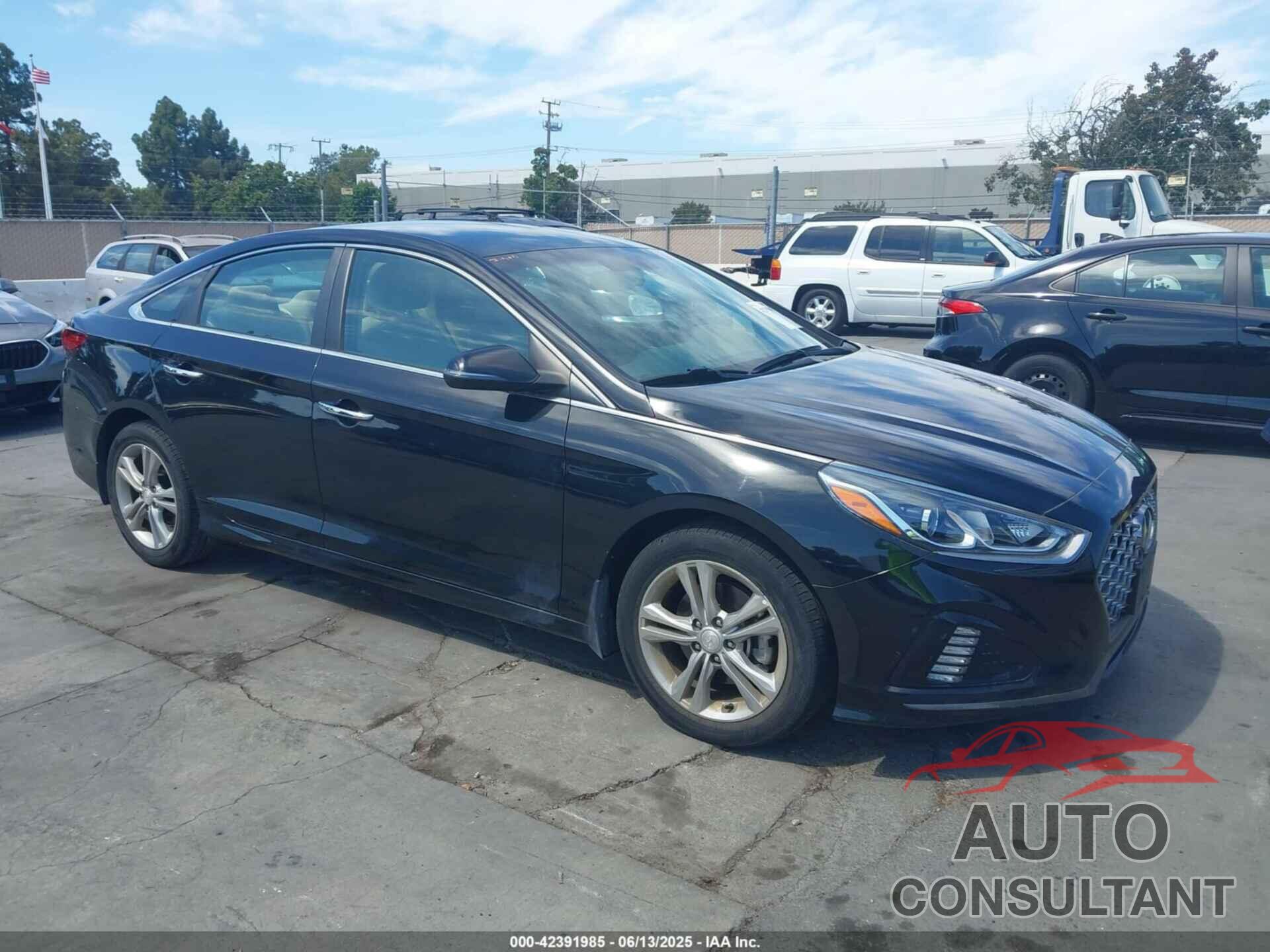HYUNDAI SONATA 2019 - 5NPE34AF5KH804646