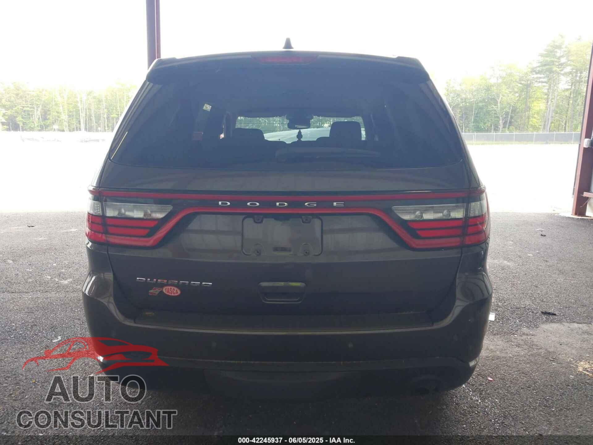 DODGE DURANGO 2019 - 1C4RDJAG0KC674230