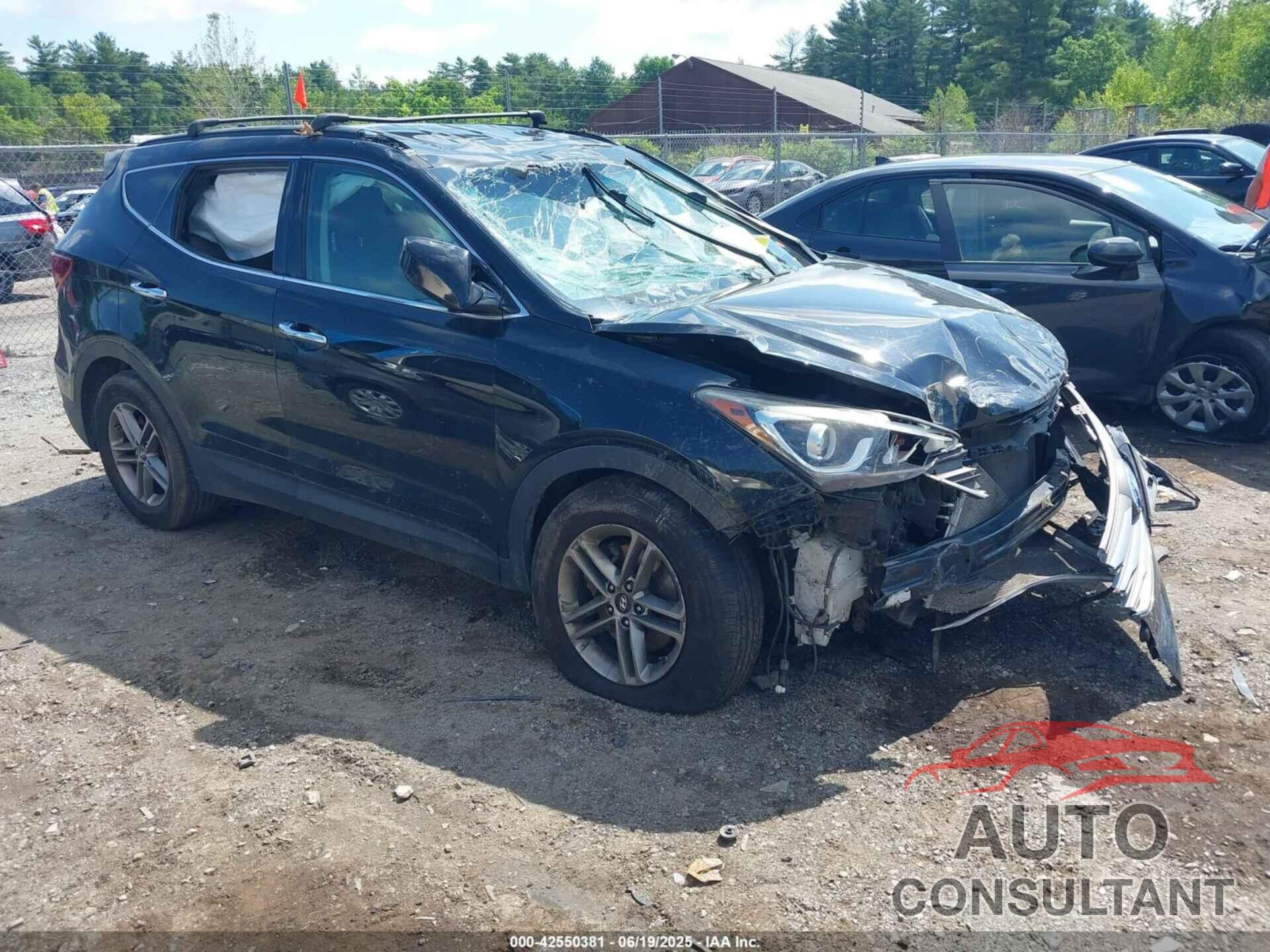 HYUNDAI SANTA FE SPORT 2017 - 5NMZUDLB0HH046987