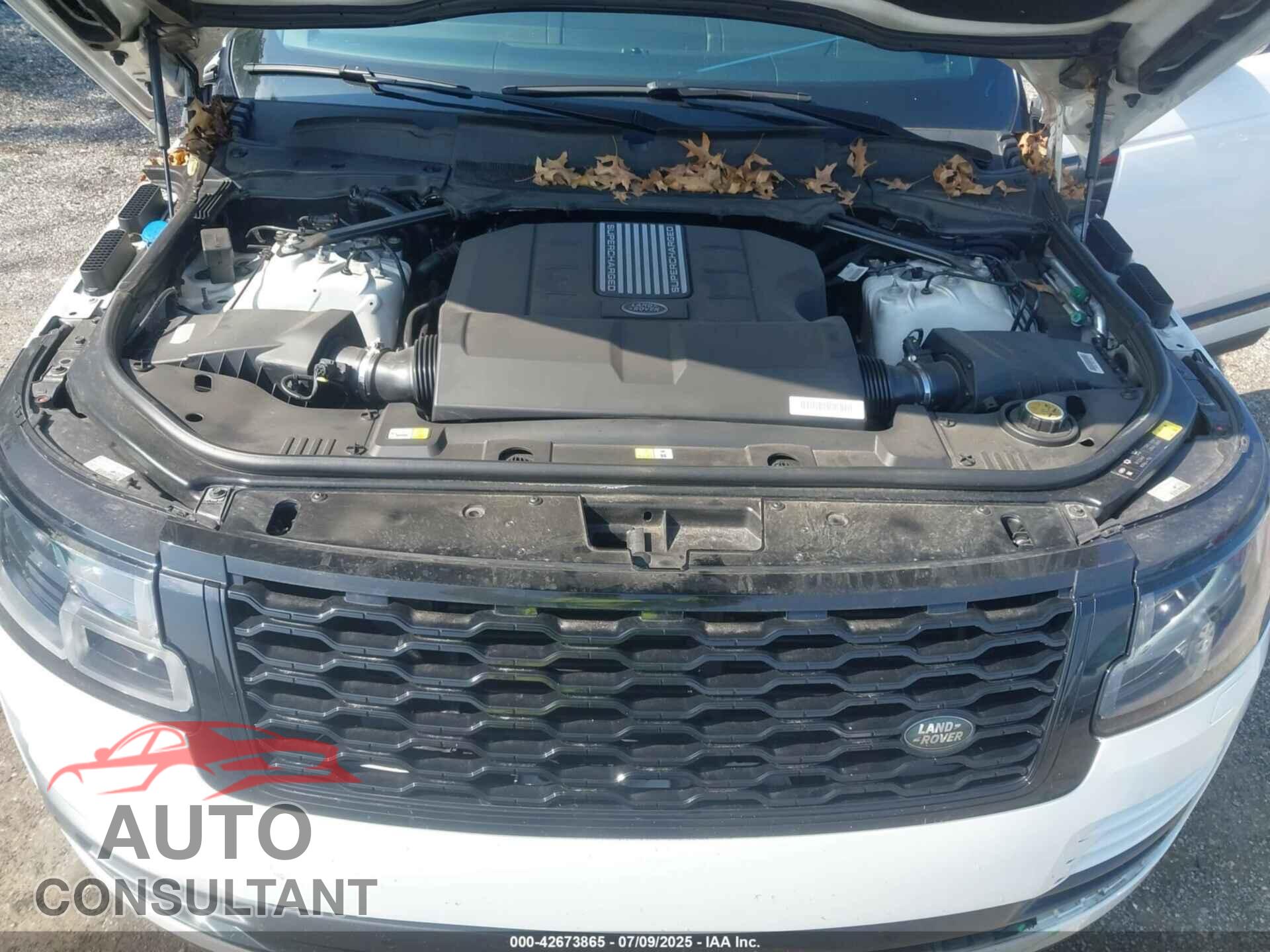 LAND ROVER RANGE ROVER 2019 - SALGS2SV4KA529809