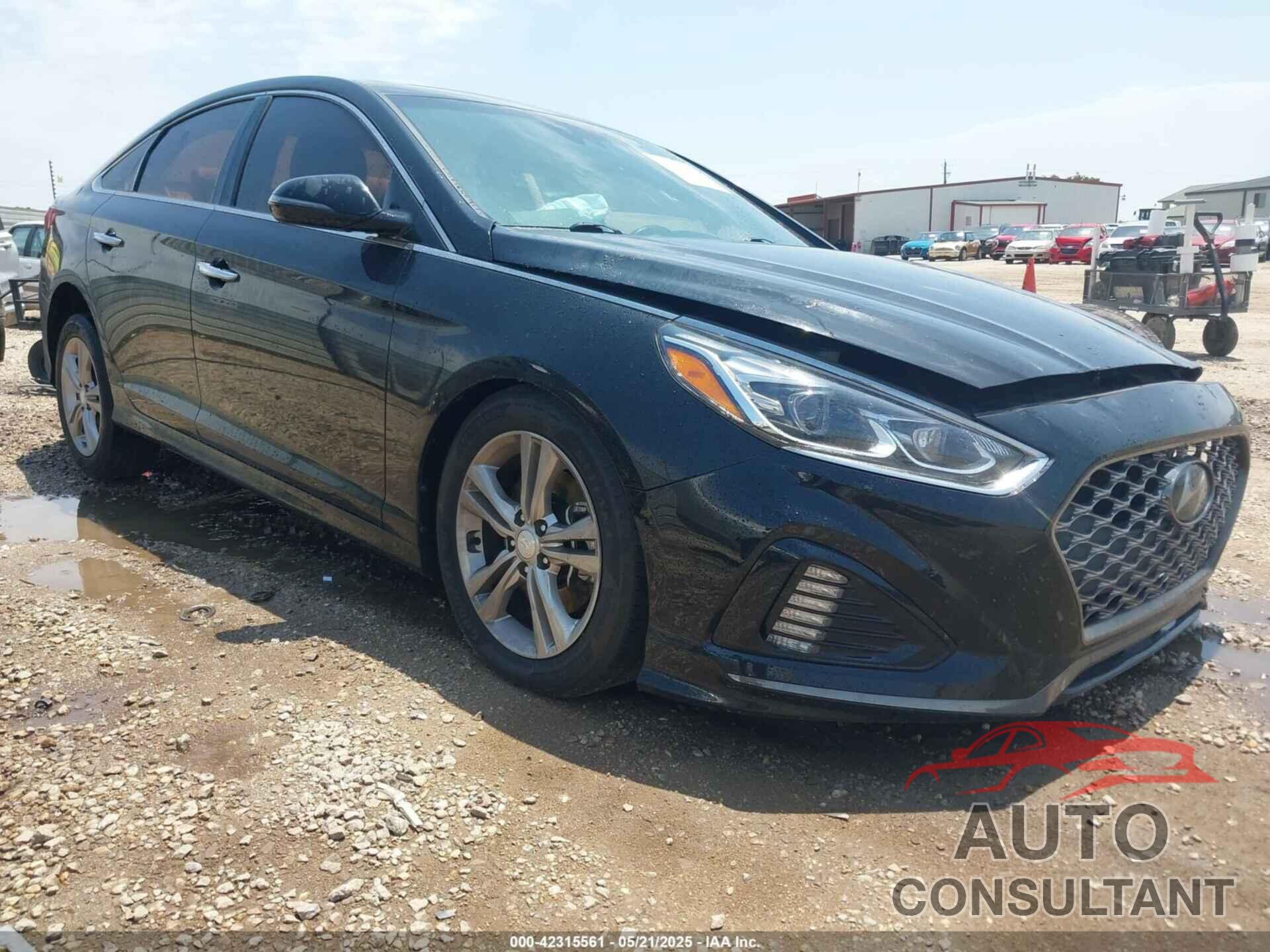 HYUNDAI SONATA 2019 - 5NPE34AF3KH815872