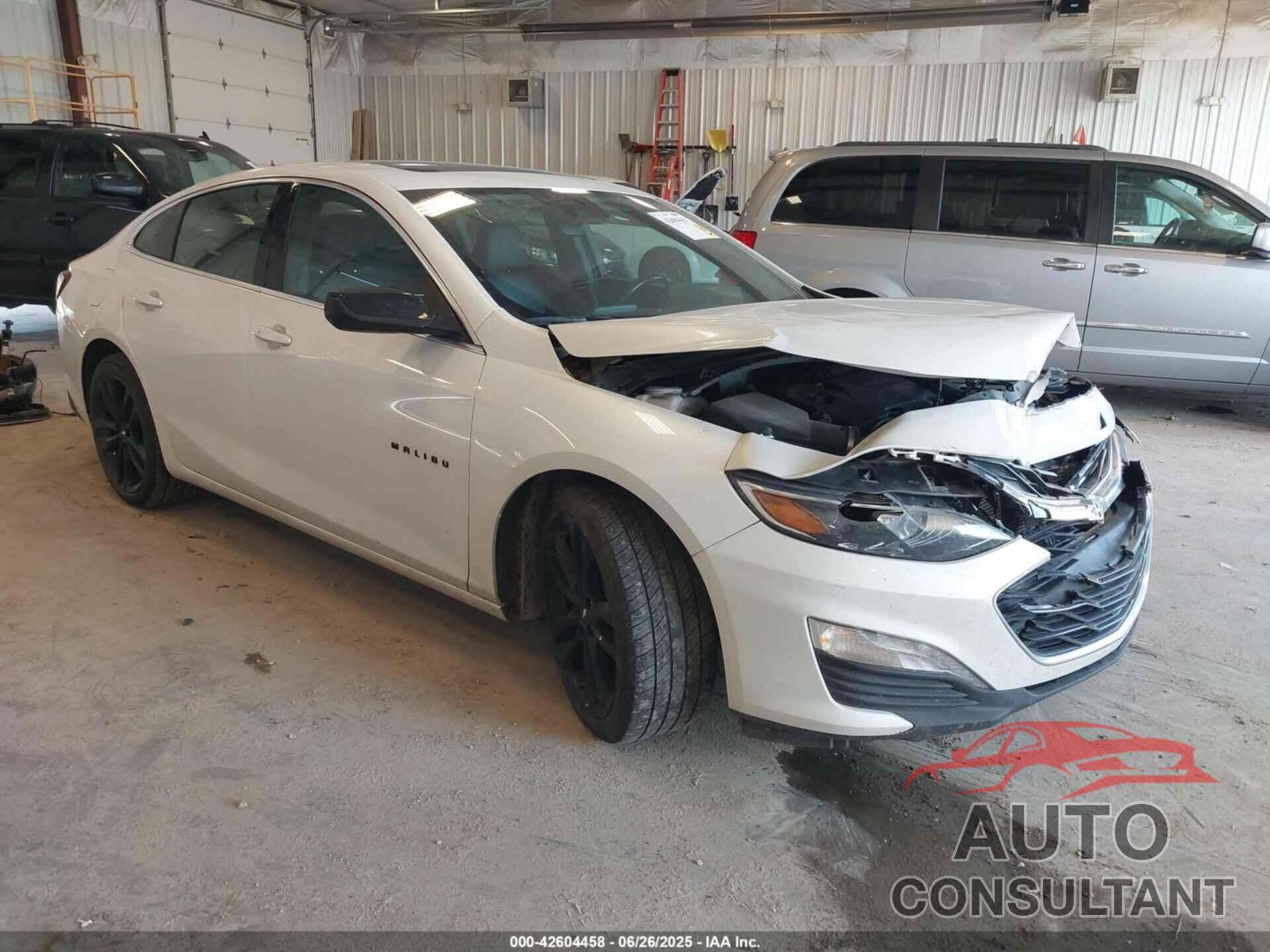 CHEVROLET MALIBU 2019 - 1G1ZD5ST8KF124929