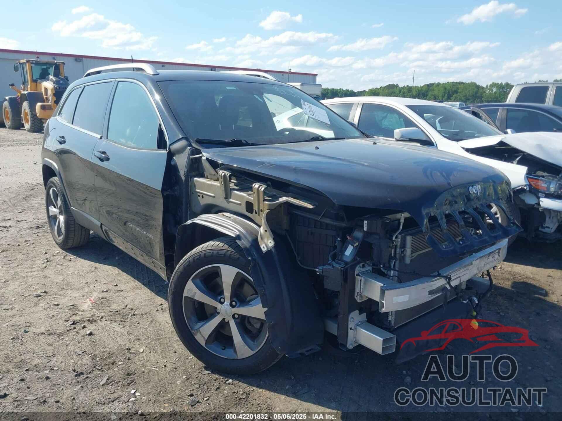 JEEP CHEROKEE 2019 - 1C4PJLDB9KD266654