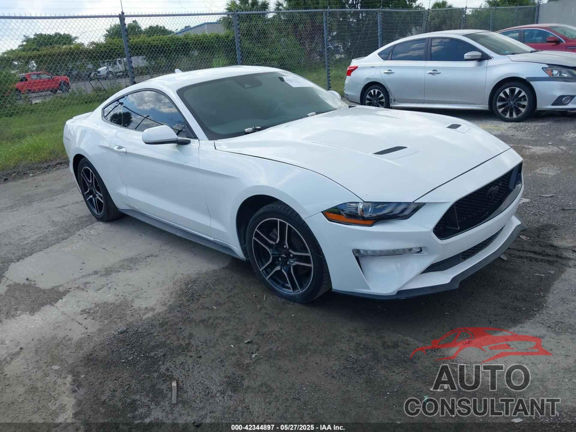 FORD MUSTANG 2021 - 1FA6P8TH6M5115299