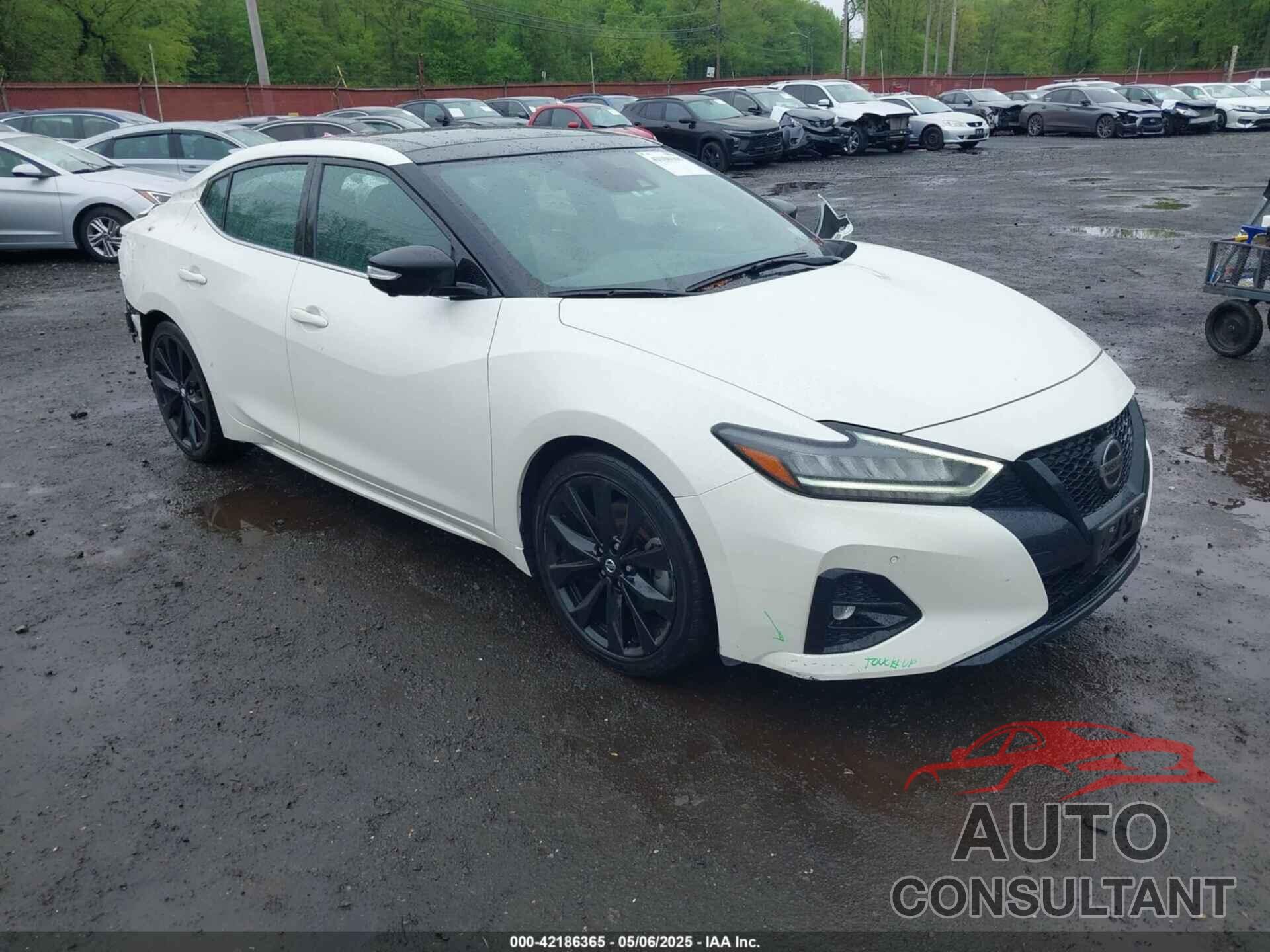 NISSAN MAXIMA 2022 - 1N4AA6EVXNC505502