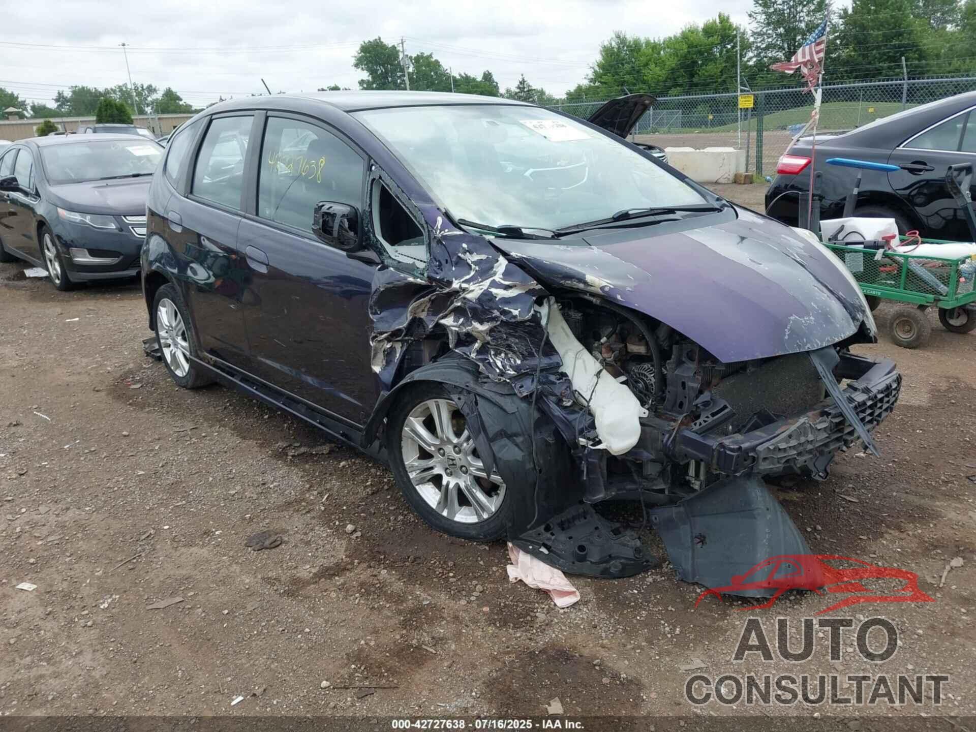 HONDA FIT 2009 - JHMGE884X9S050507
