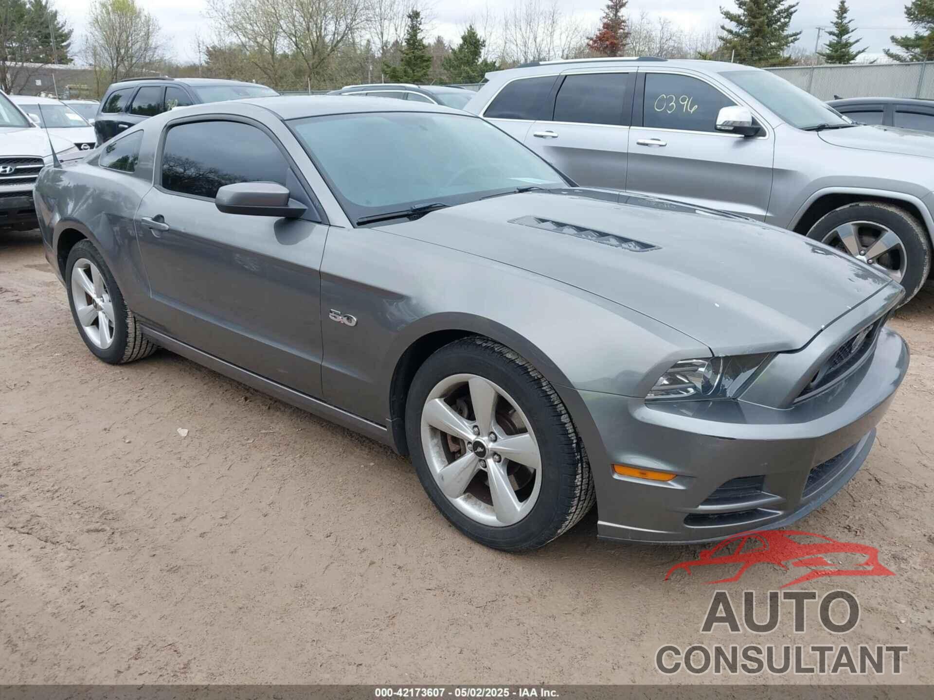 FORD MUSTANG 2013 - 1ZVBP8CF1D5261761