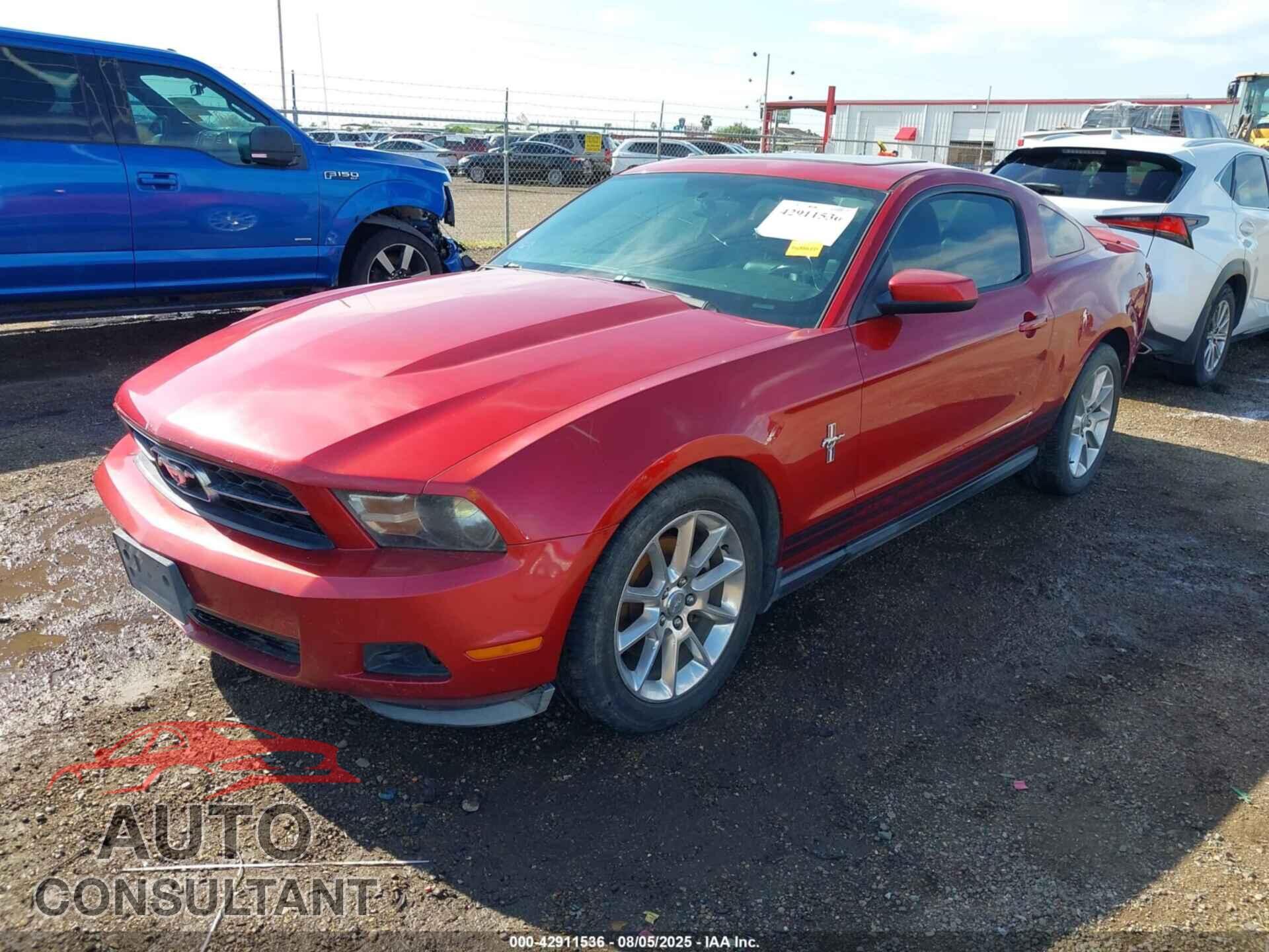 FORD MUSTANG 2011 - 1ZVBP8AMXB5128799