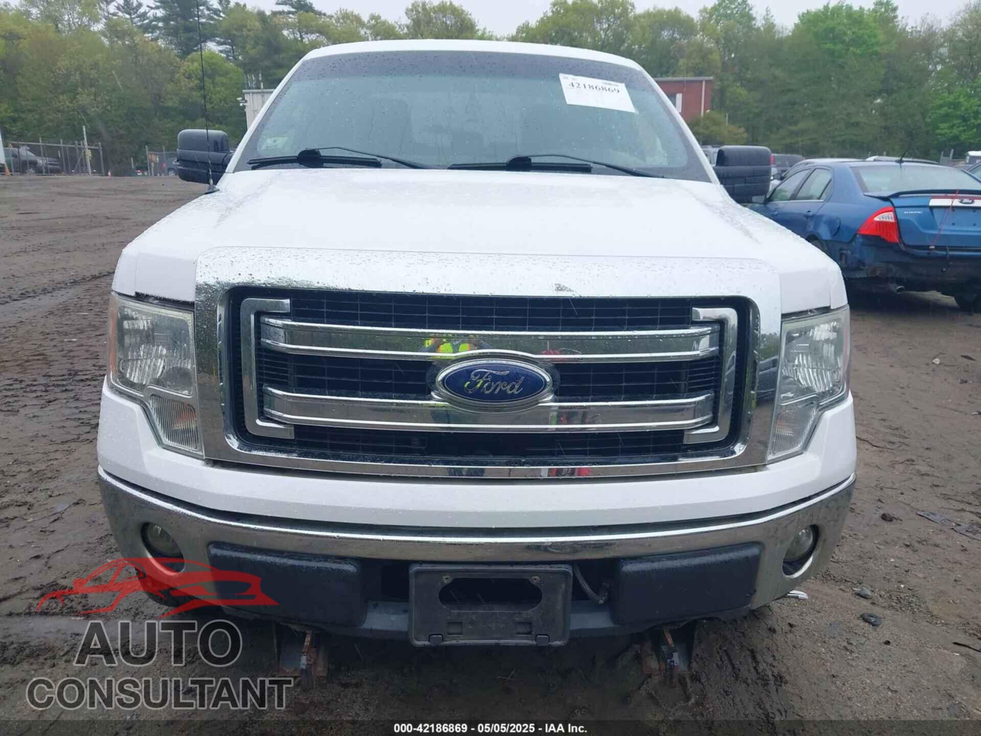 FORD F-150 2013 - 1FTFX1EF0DFA84252