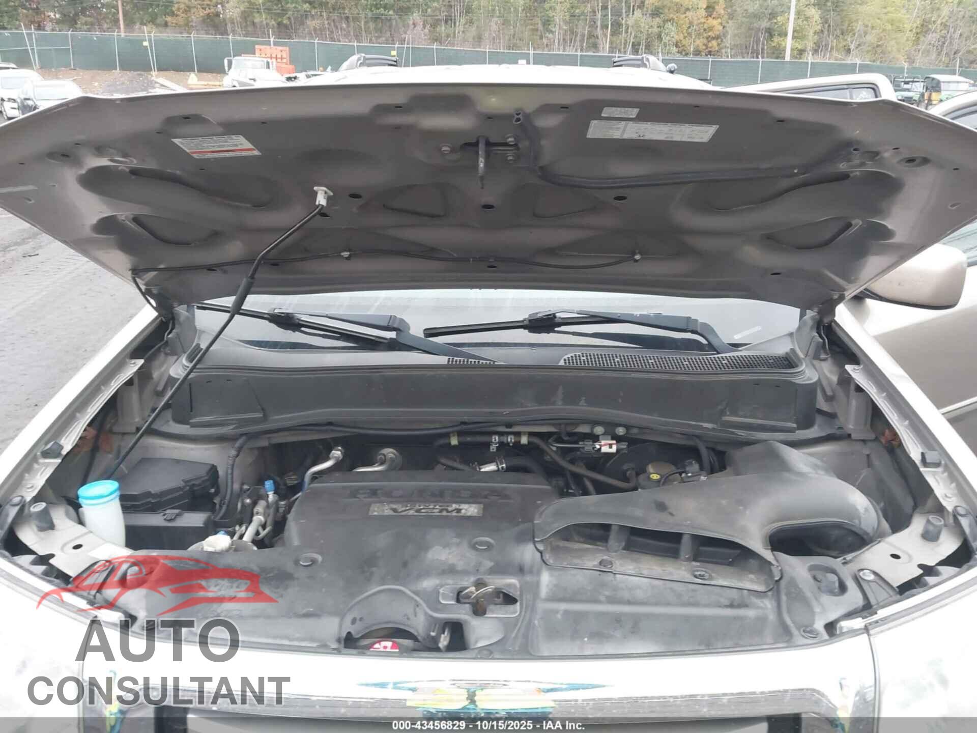 HONDA PILOT 2009 - 5FNYF48579B039529