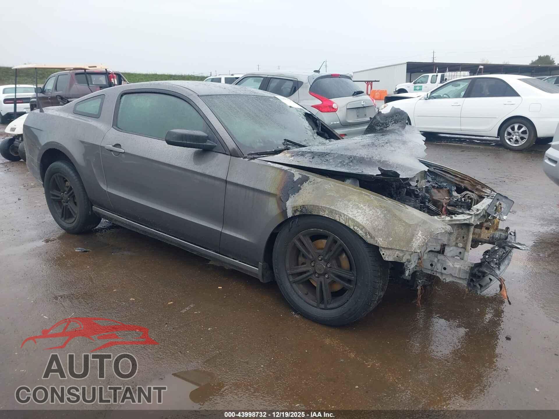 FORD MUSTANG 2014 - 1ZVBP8AM3E5270576