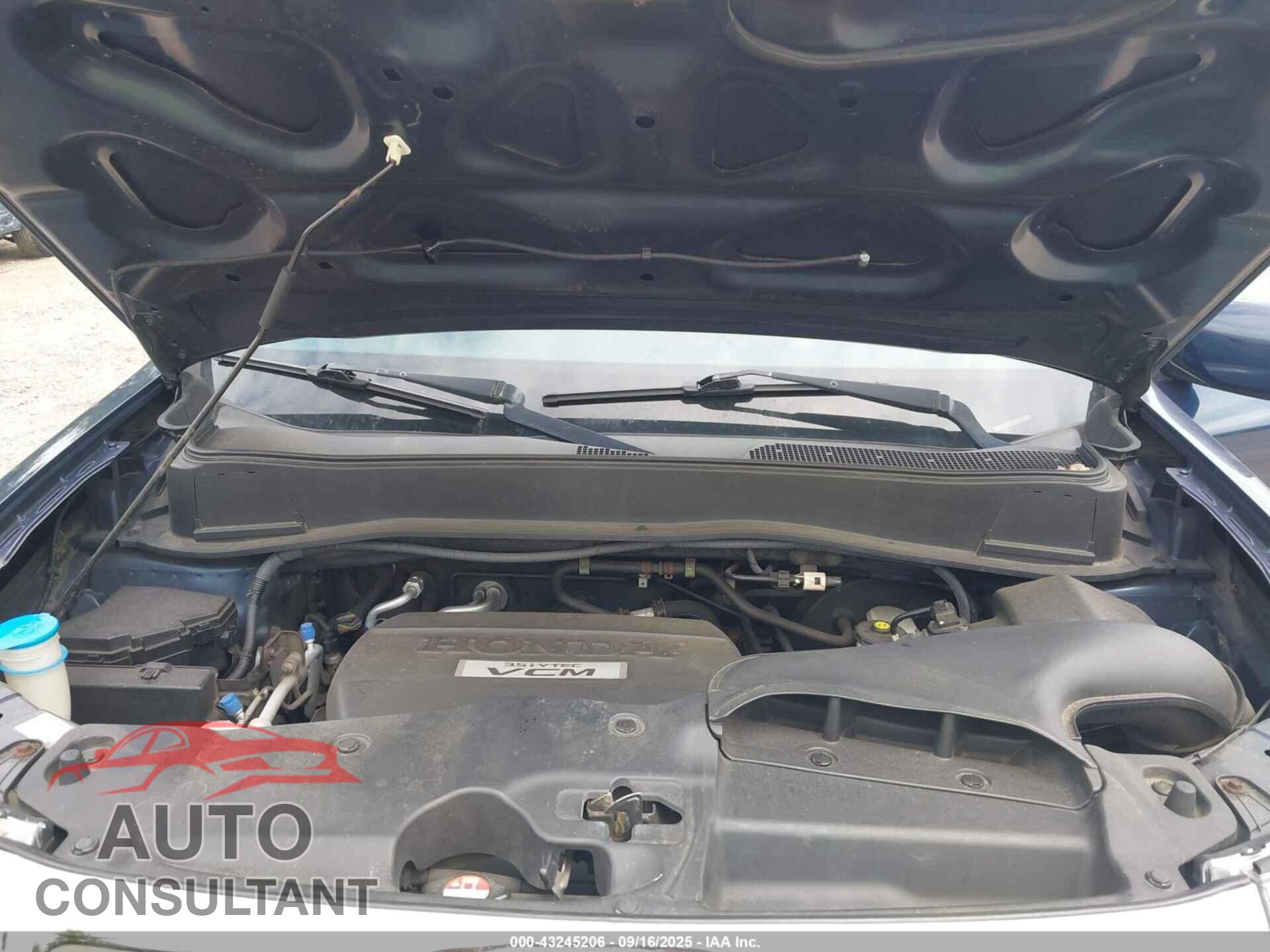 HONDA PILOT 2009 - 5FNYF48529B044153