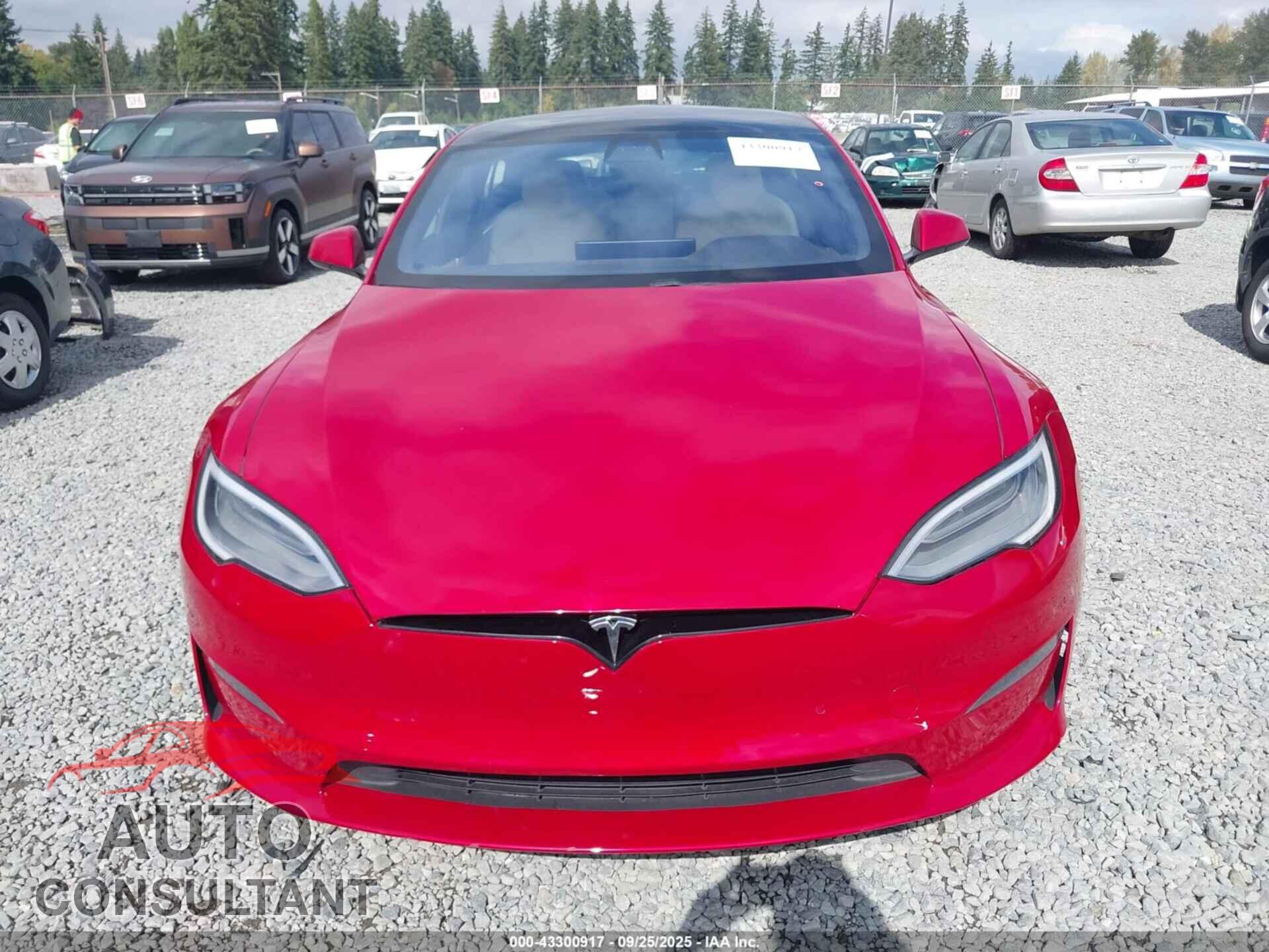 TESLA MODEL S 2021 - 5YJSA1E51MF438890