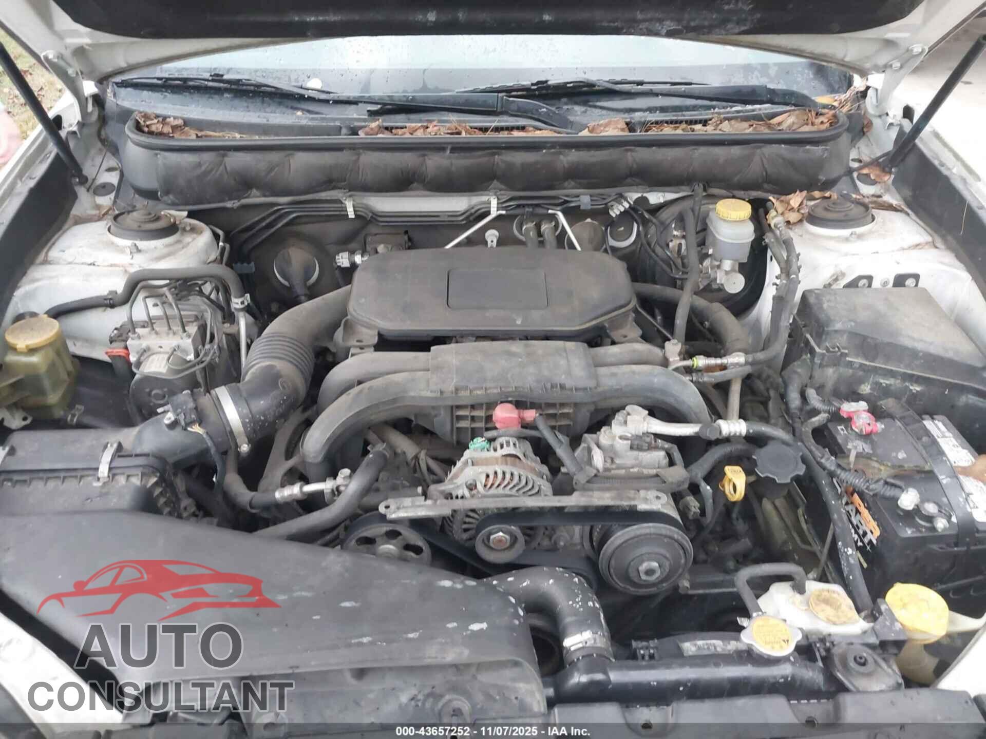 SUBARU OUTBACK 2010 - 4S4BRCCC8A3353426