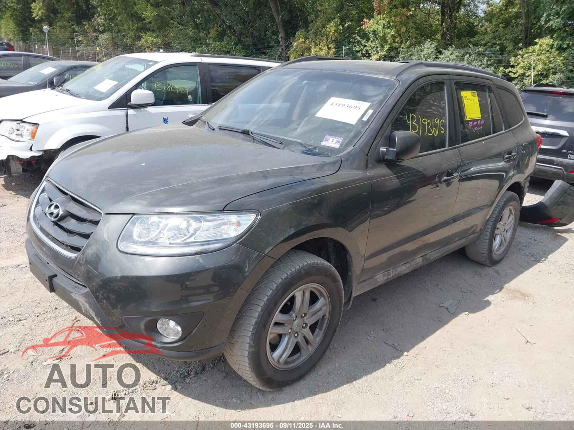 HYUNDAI SANTA FE 2010 - 5NMSGDAB3AH386992