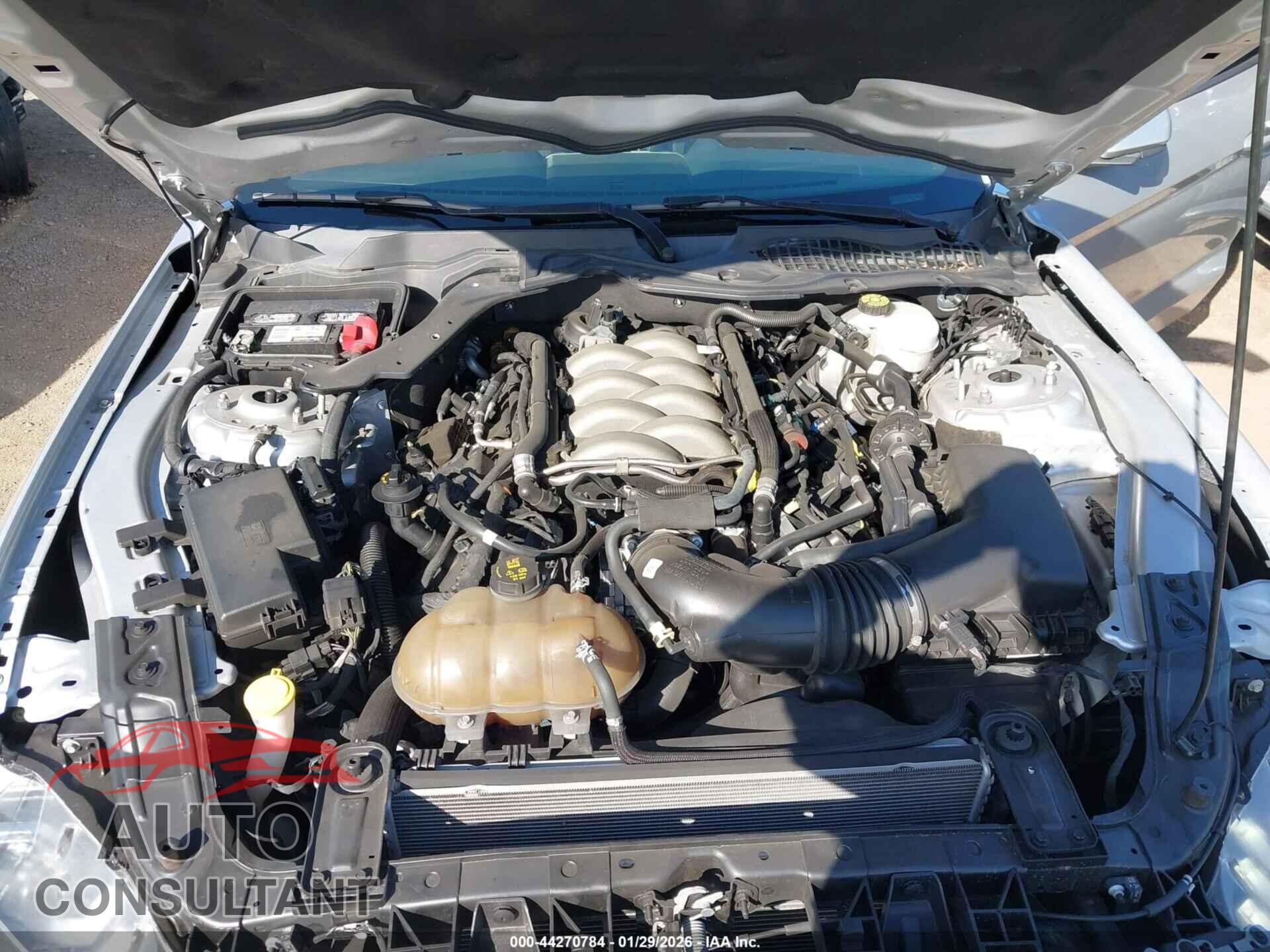 FORD MUSTANG 2019 - 1FA6P8CF1K5153065