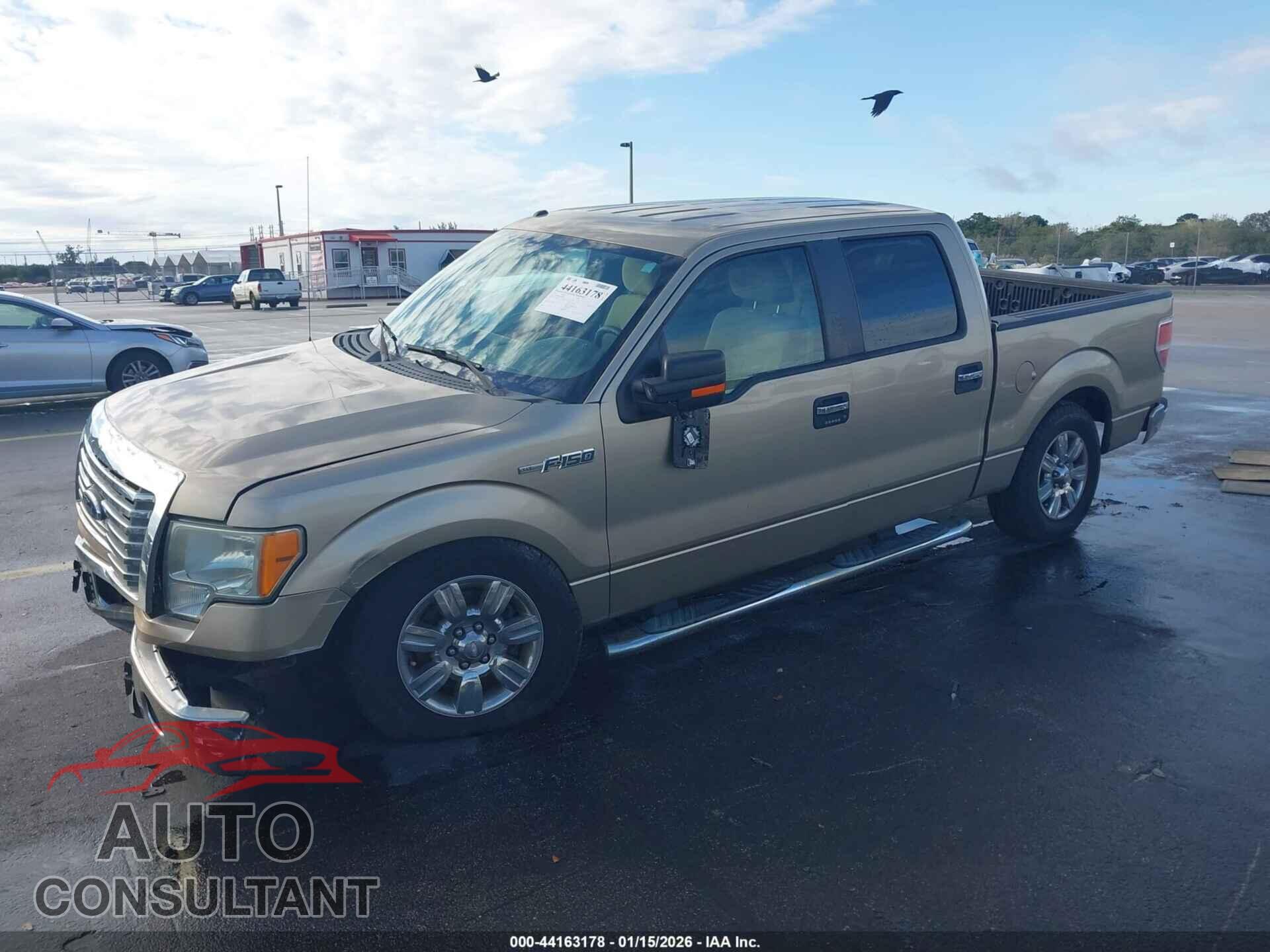 FORD F-150 2011 - 1FTFW1CF4BFB68707