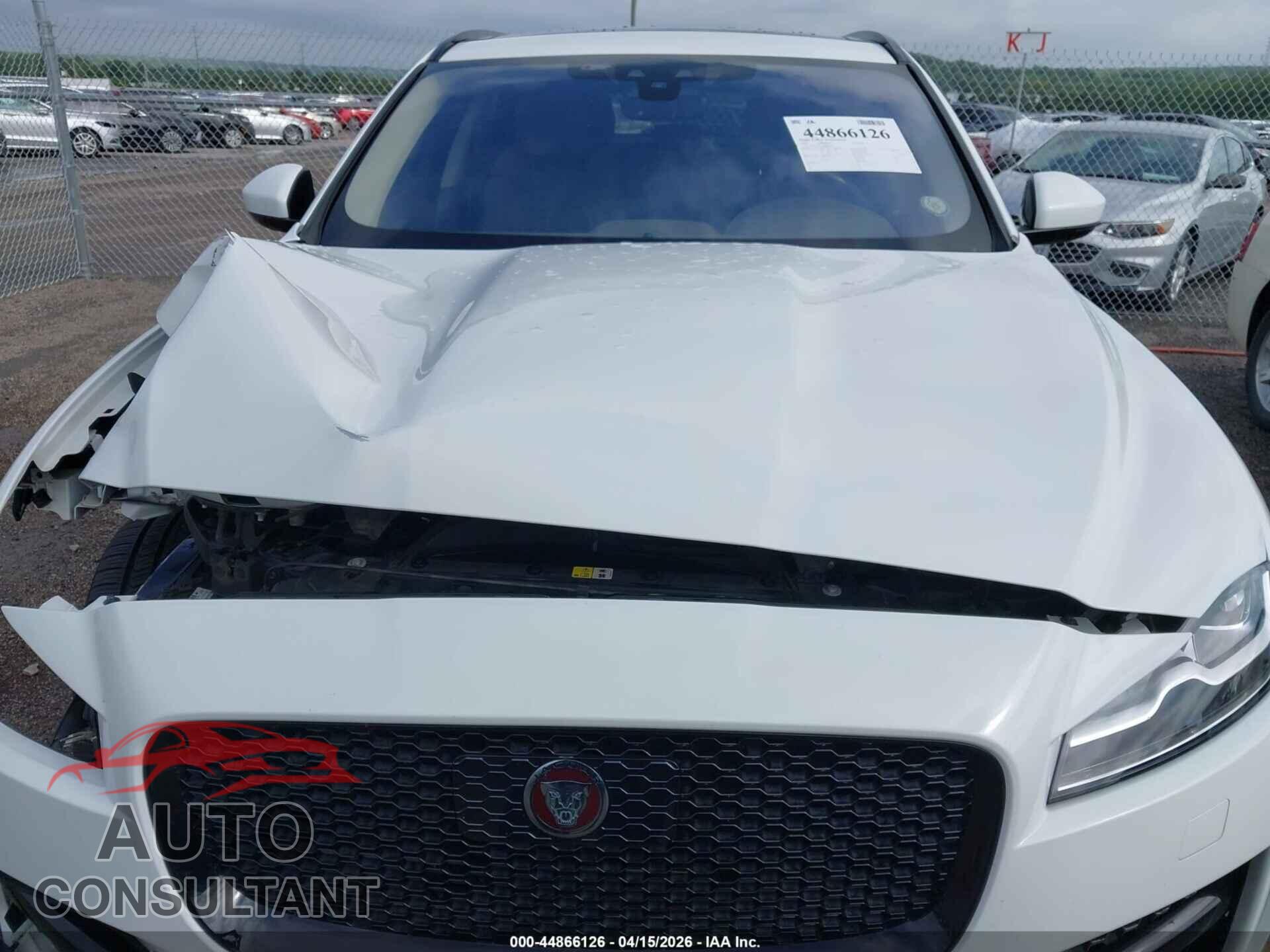 JAGUAR F-PACE 2019 - SADCL2FX0KA392306