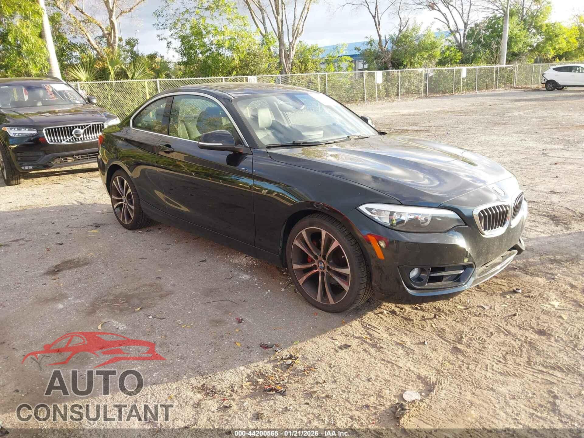 BMW 228I 2015 - WBA1F7C59FV367281