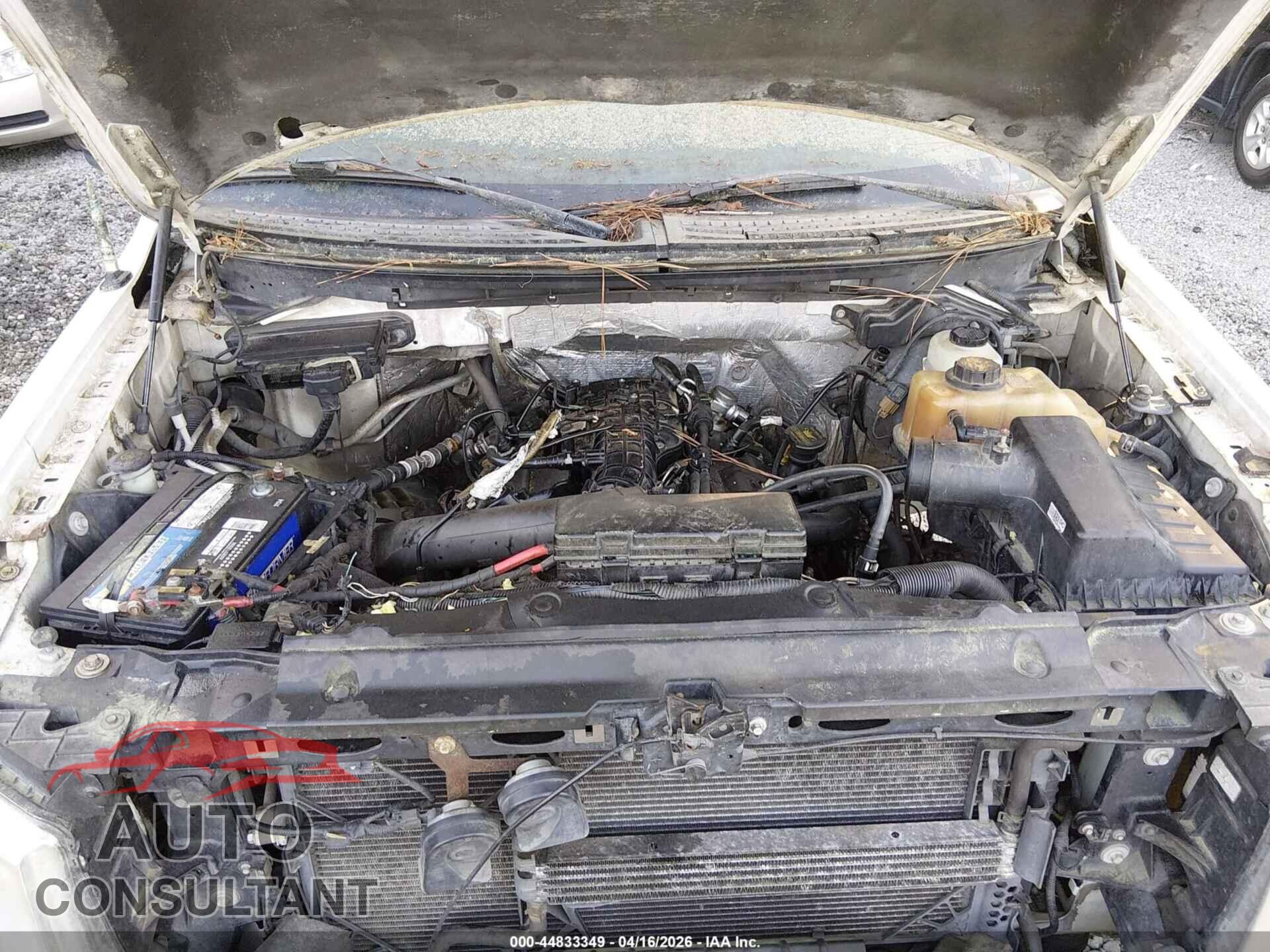 FORD F-150 2013 - 1FTFW1ET8DFA26432