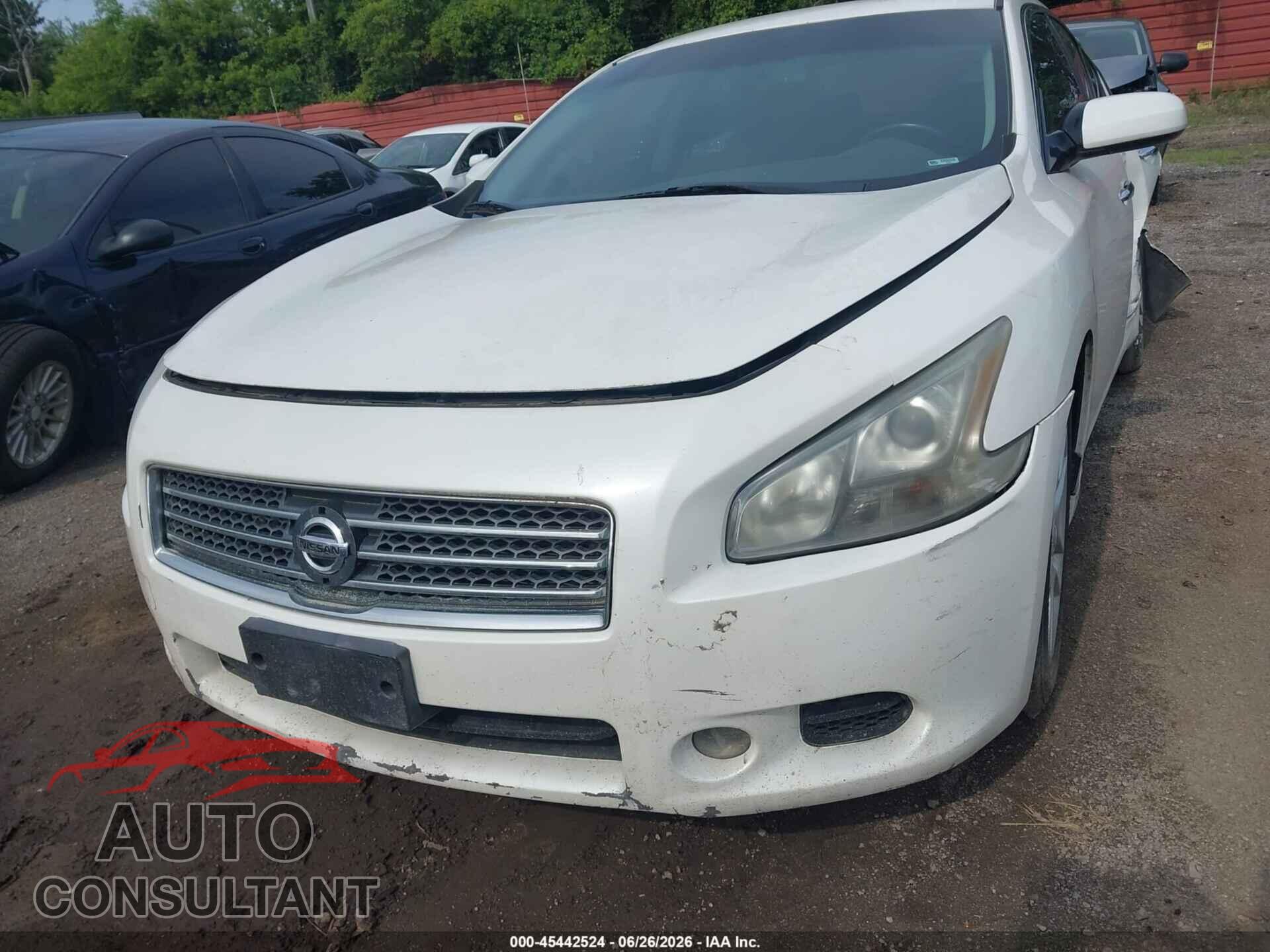 NISSAN MAXIMA 2011 - 1N4AA5AP1BC851645