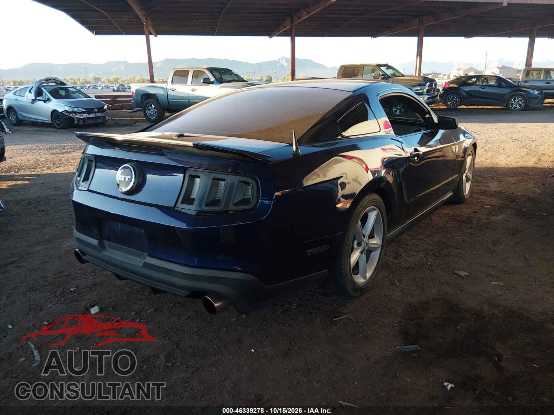 FORD MUSTANG 2011 - 1ZVBP8CF6B5125722