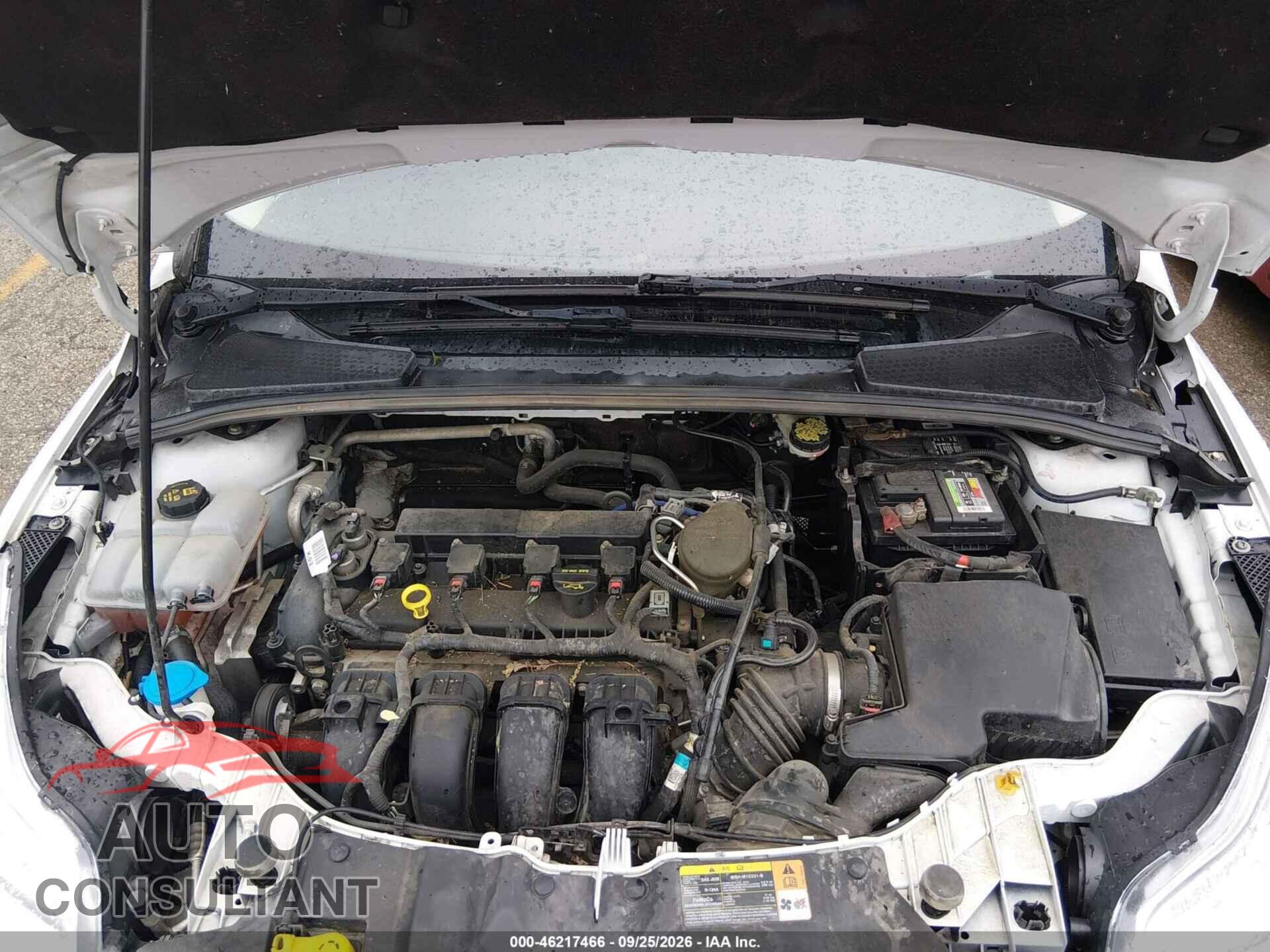 FORD FOCUS 2014 - 1FADP3F25EL149362
