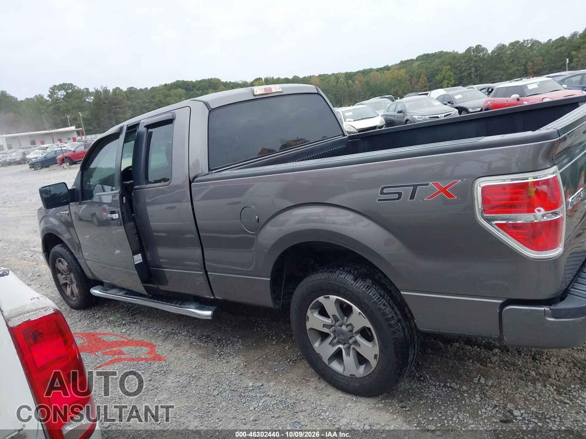 FORD F-150 2014 - 1FTFX1CF3EFA81902
