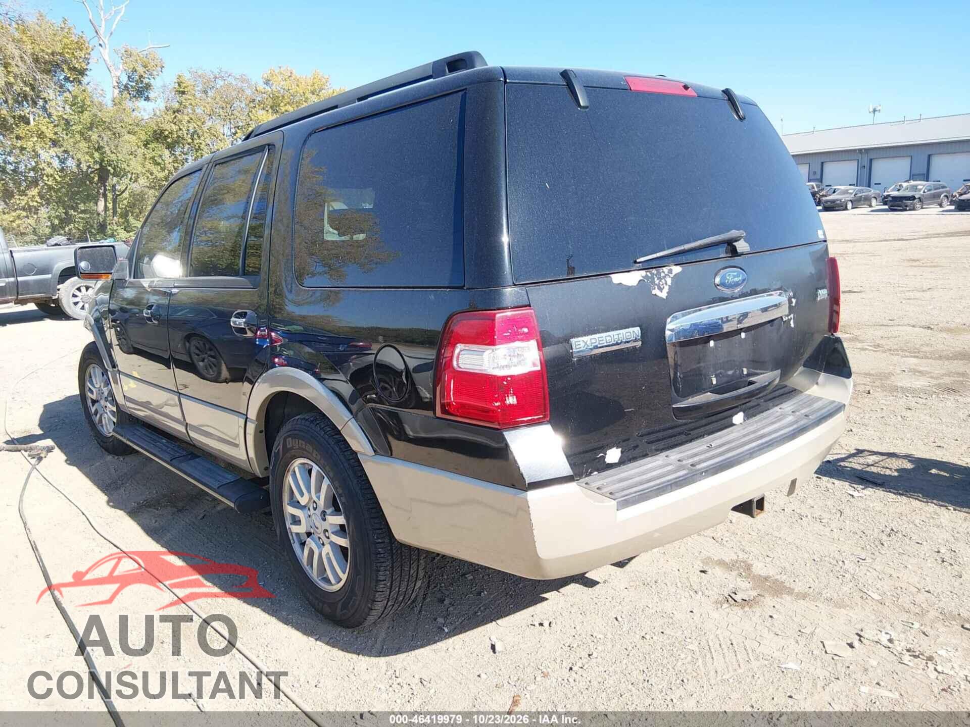FORD EXPEDITION 2010 - 1FMJU1J54AEB34454