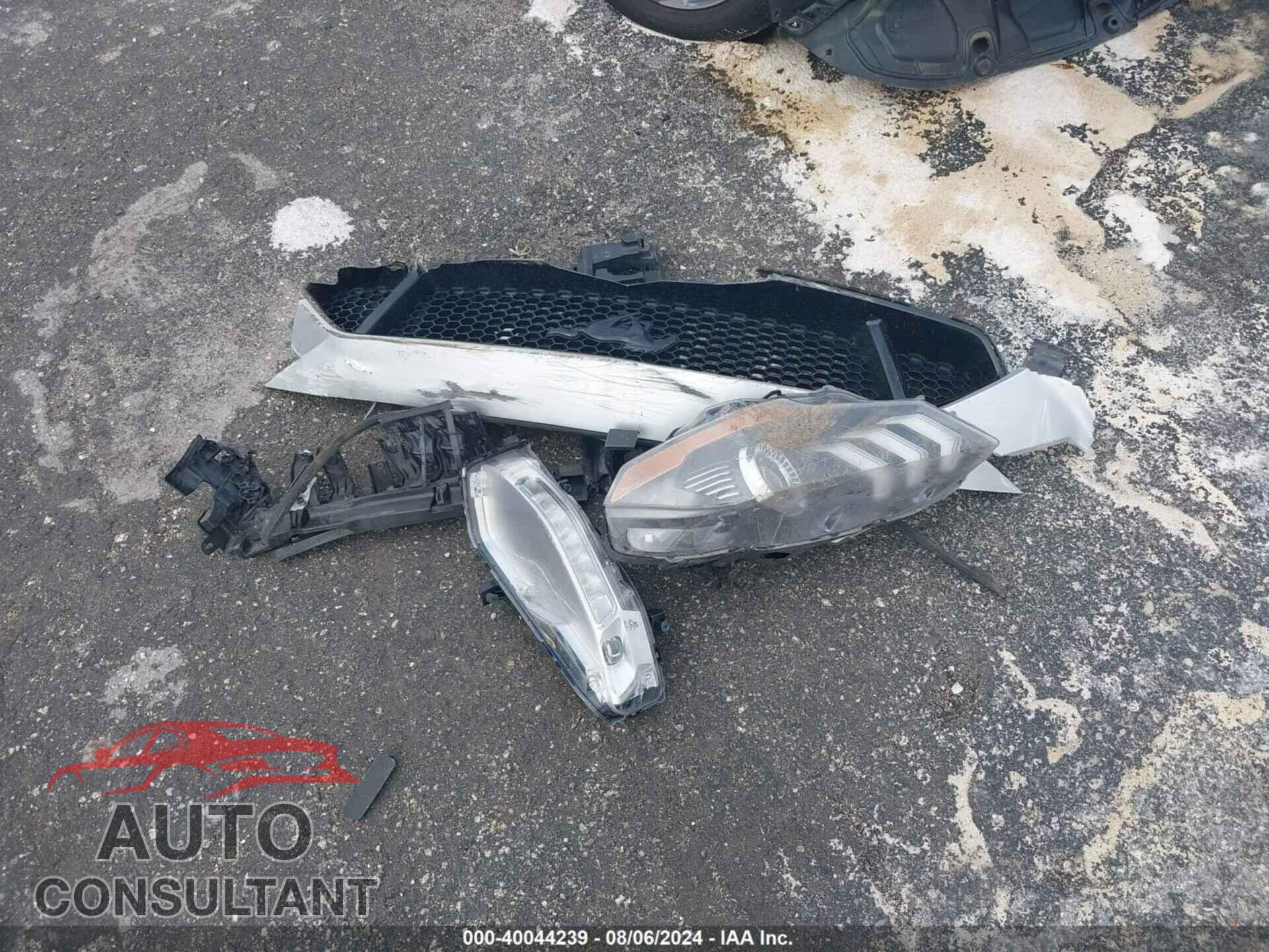 FORD MUSTANG 2019 - 1FA6P8CFXK5111641